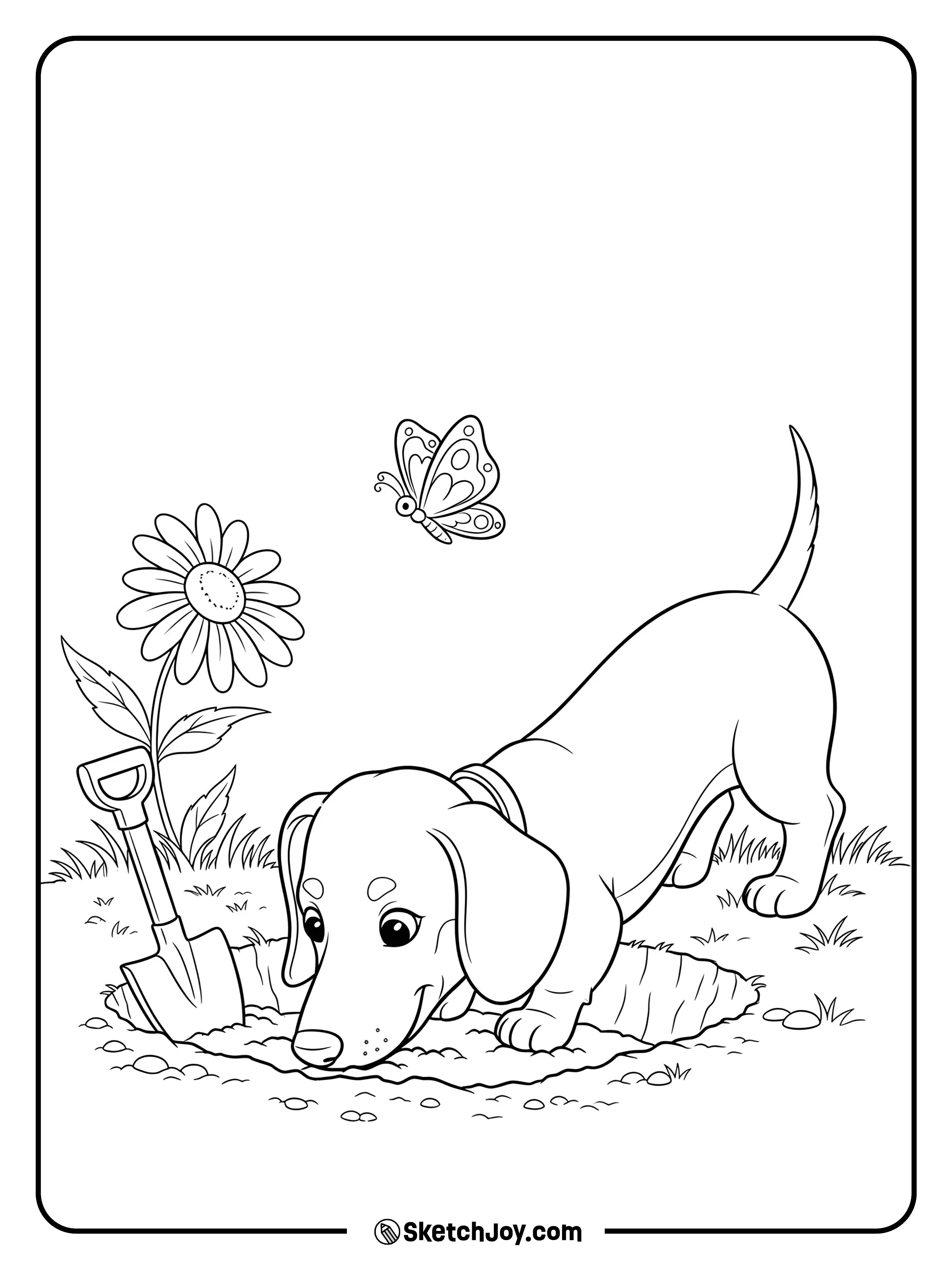 A silly Dachshund digging in the garden with its long body stretched.