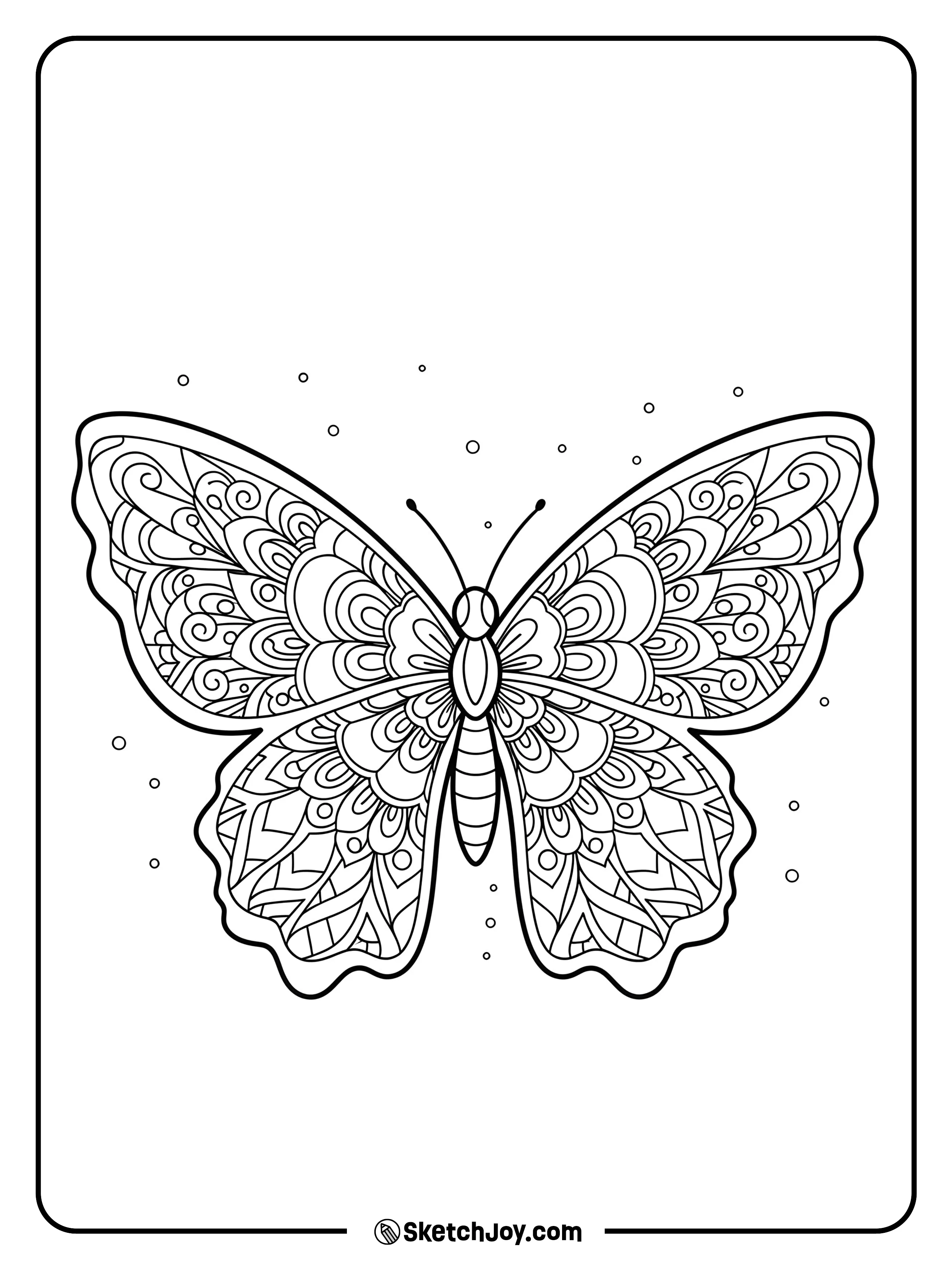 A symmetrical butterfly with intricate mandala-style patterns in its wings.