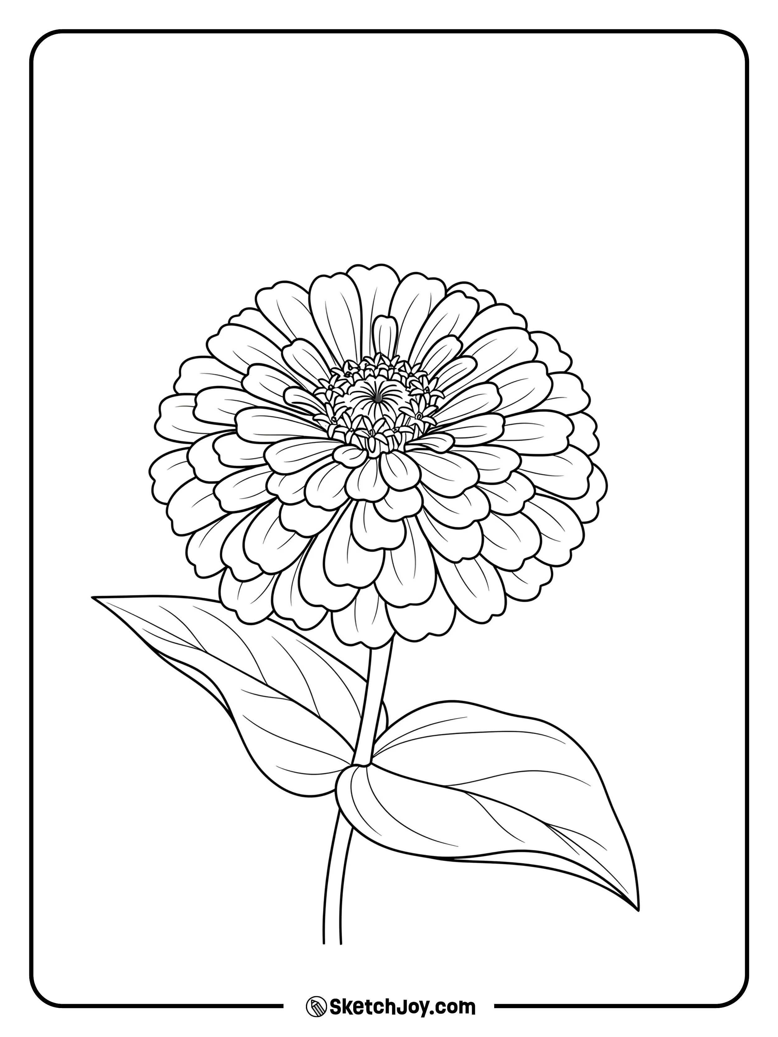 A detailed zinnia with layered petals and broad leaves.