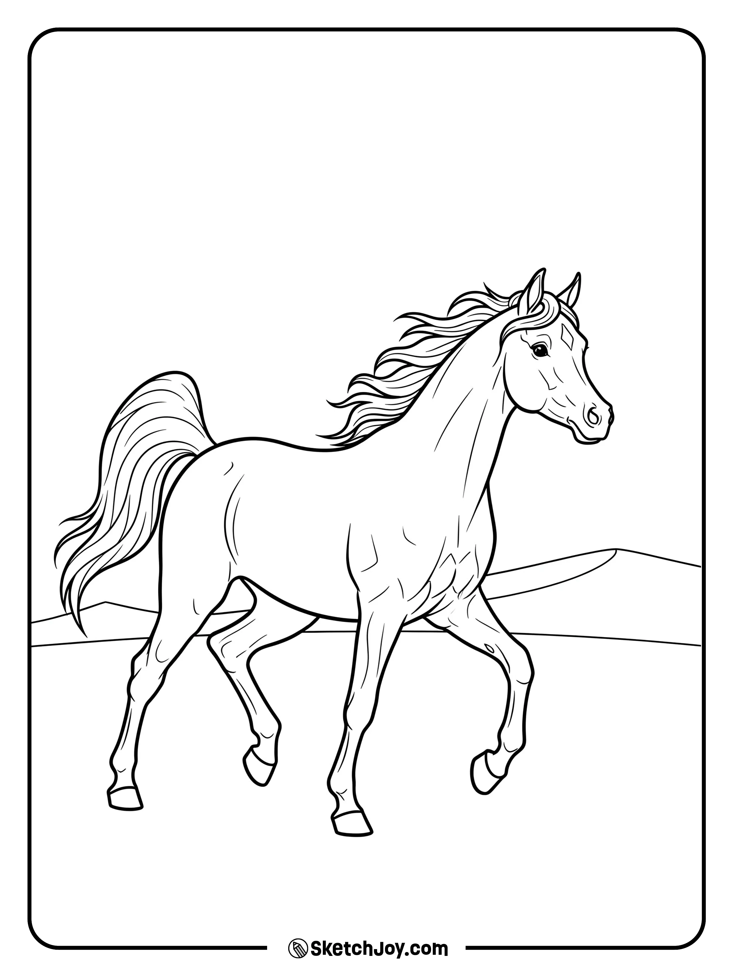 A sleek Arabian in motion.