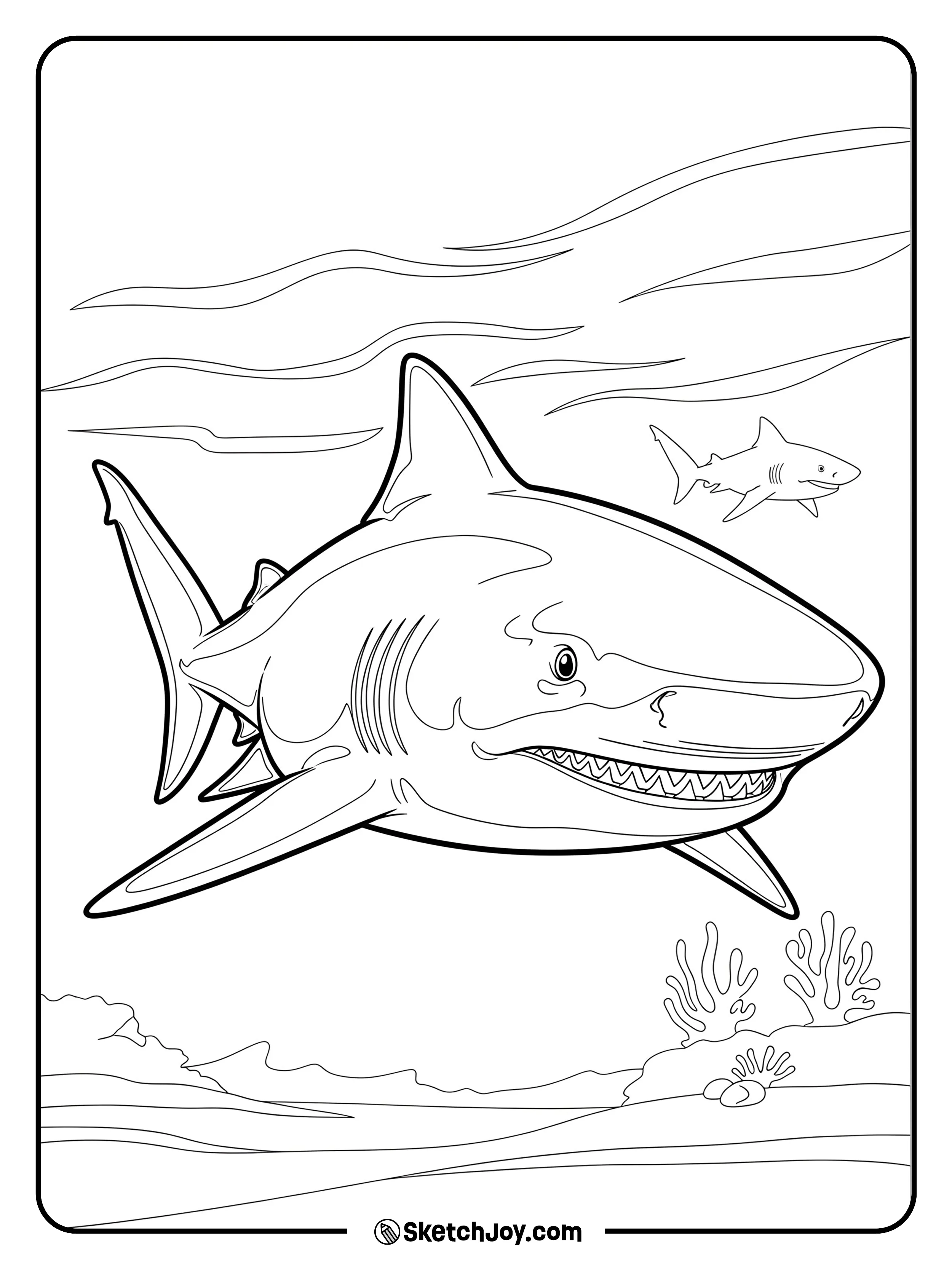 A sturdy bull shark explores brackish water