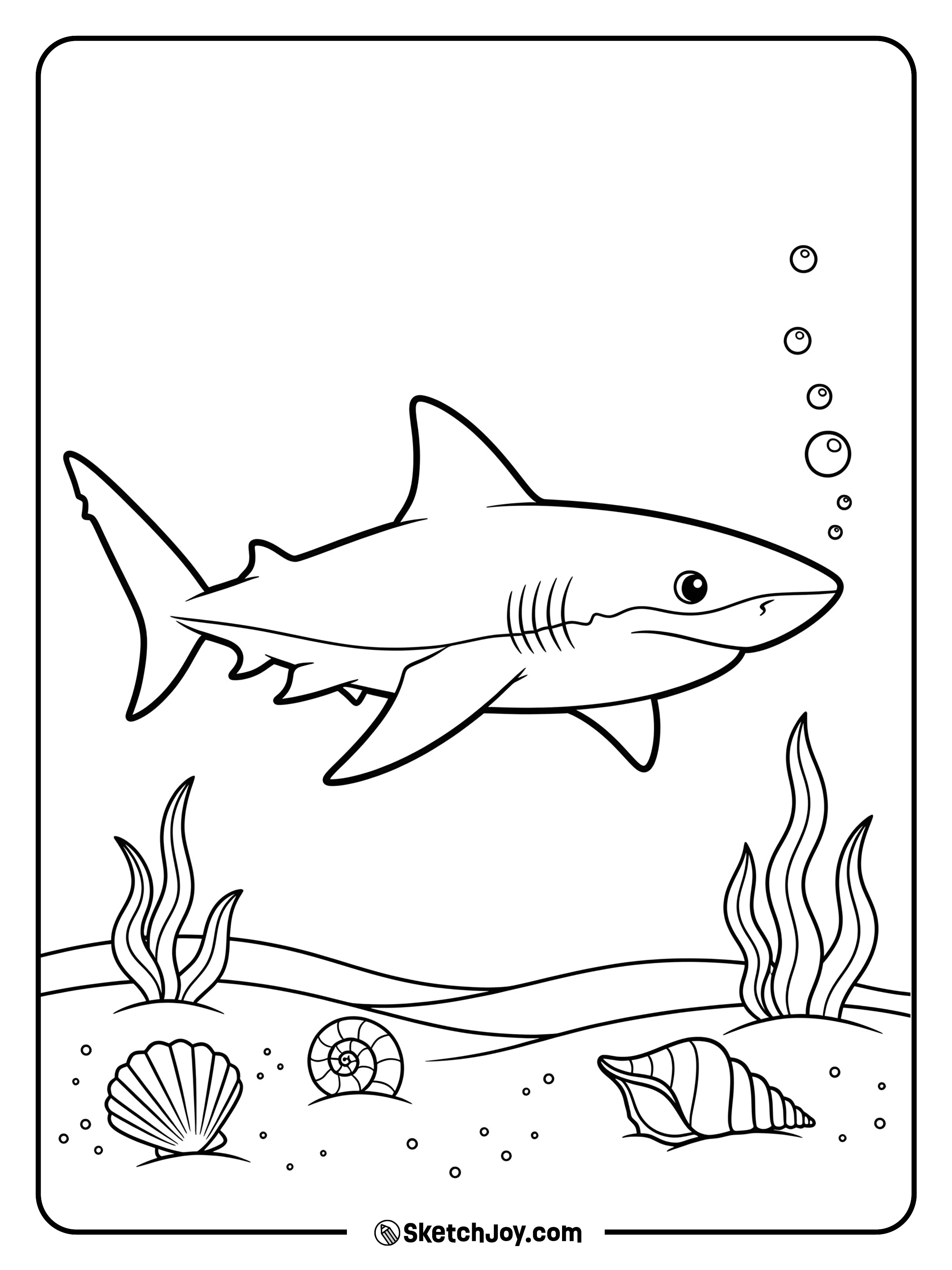 A smiling reef shark cruises above a sandy path lined with seashells.
