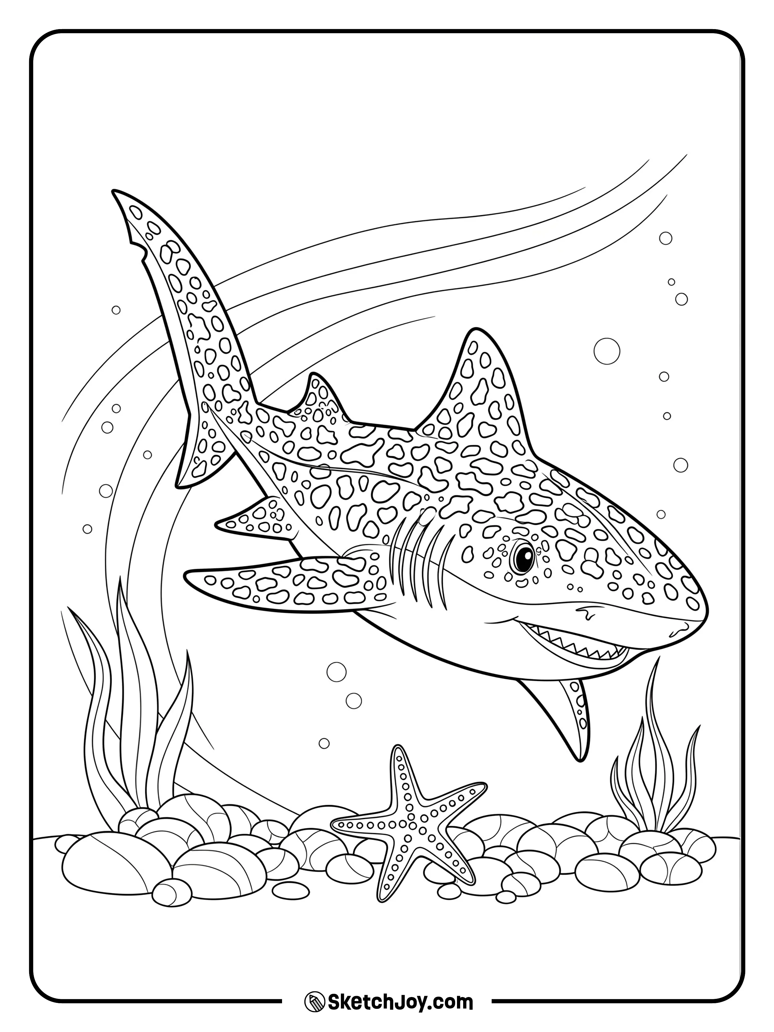 A calm leopard shark glides above round pebbles and starfish.