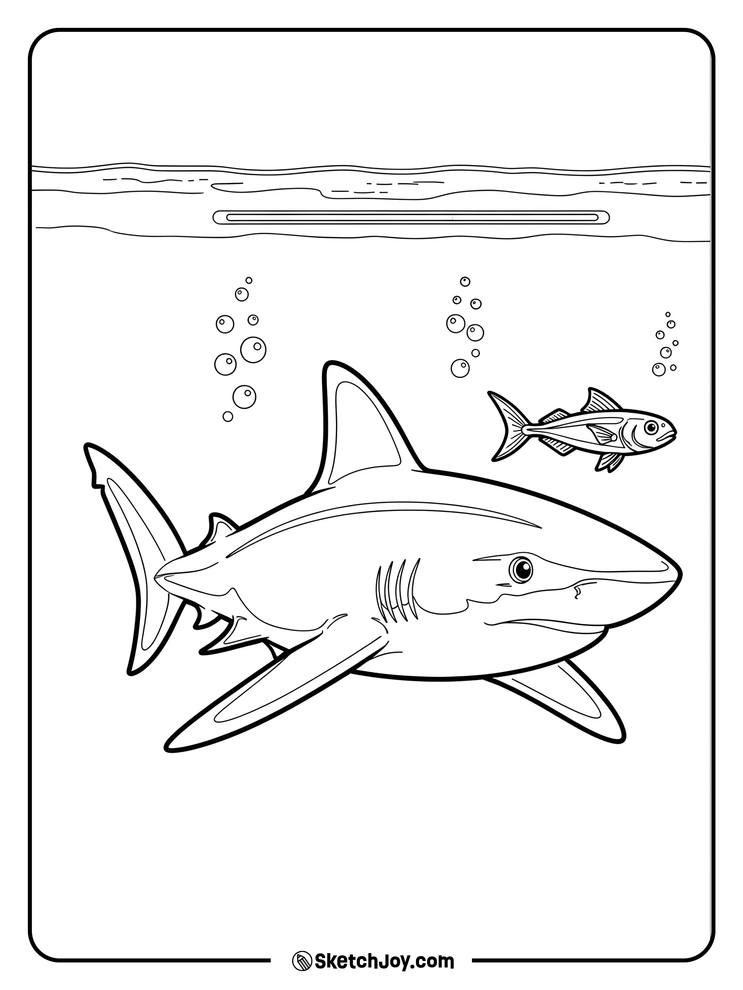 A bold oceanic whitetip patrols the open ocean