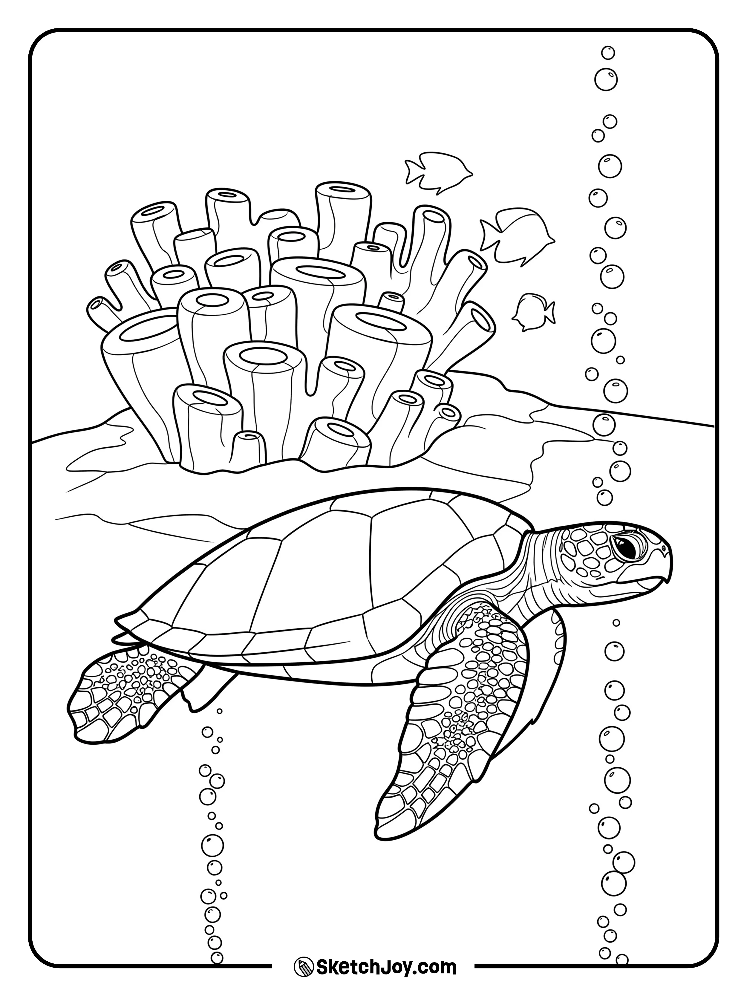 A calm sea turtle glides over a quiet coral patch.
