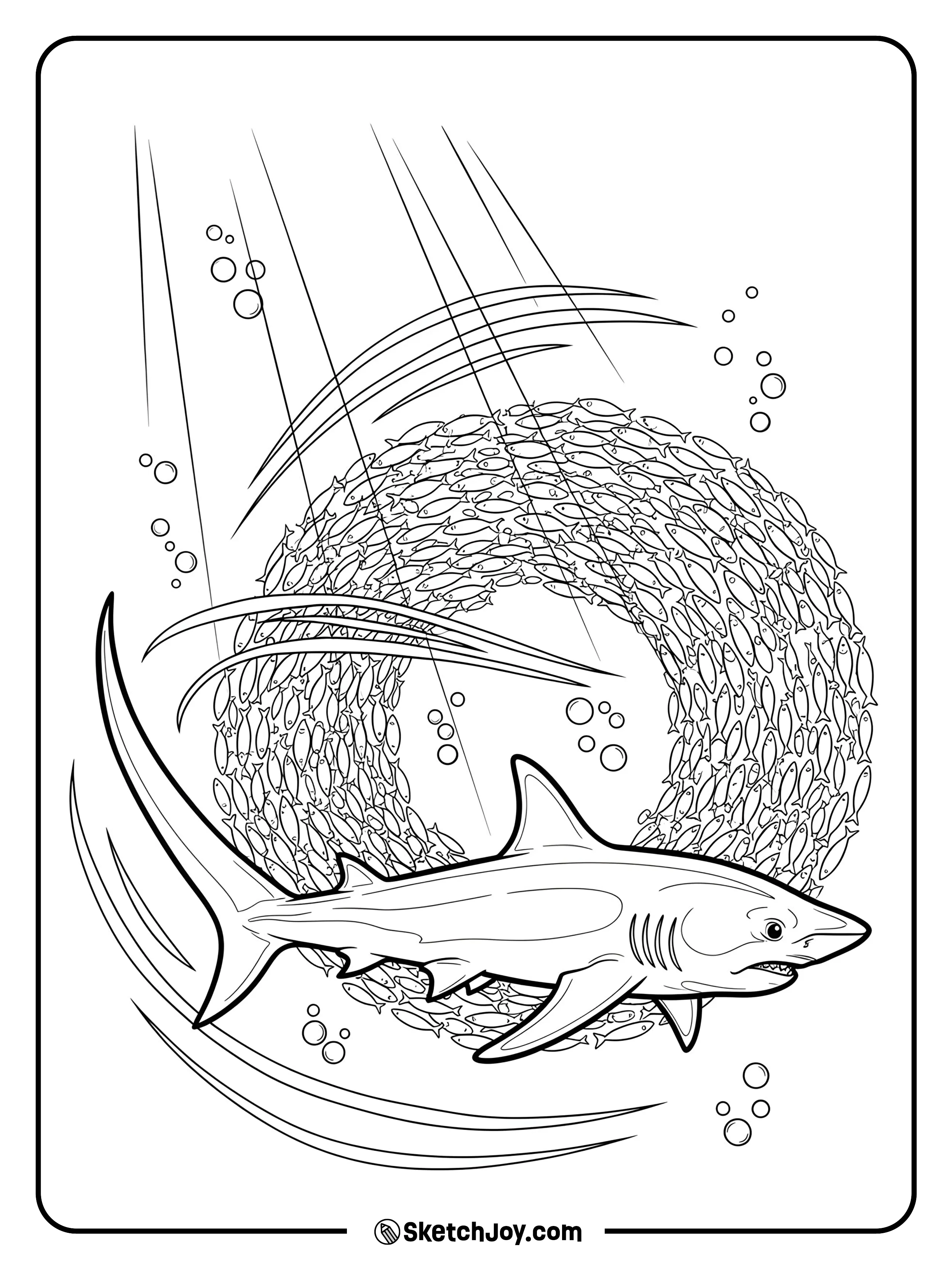 A thresher’s long tail arcs above a whirling bait ball