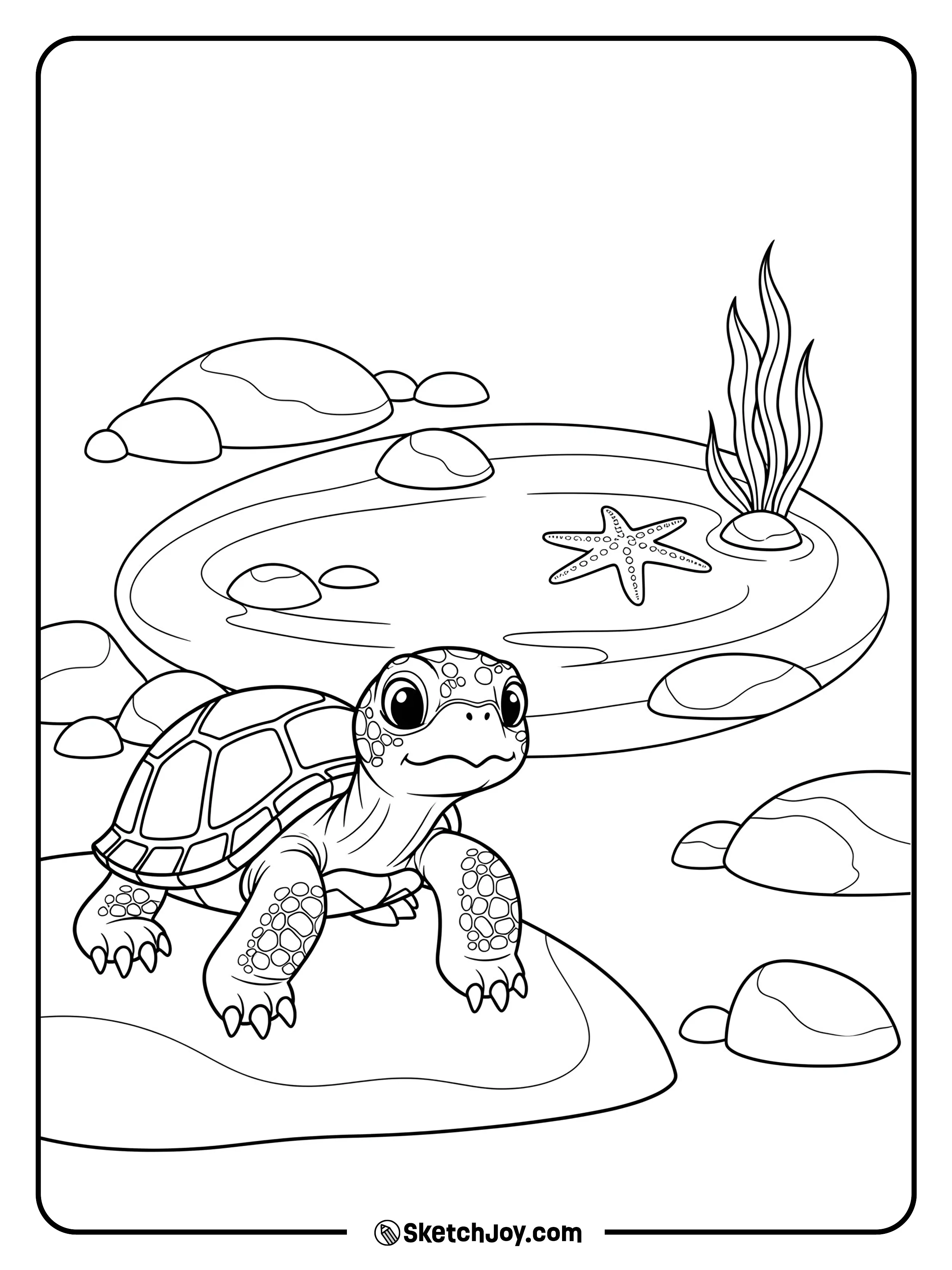 A small turtle peers into a shallow tidepool.