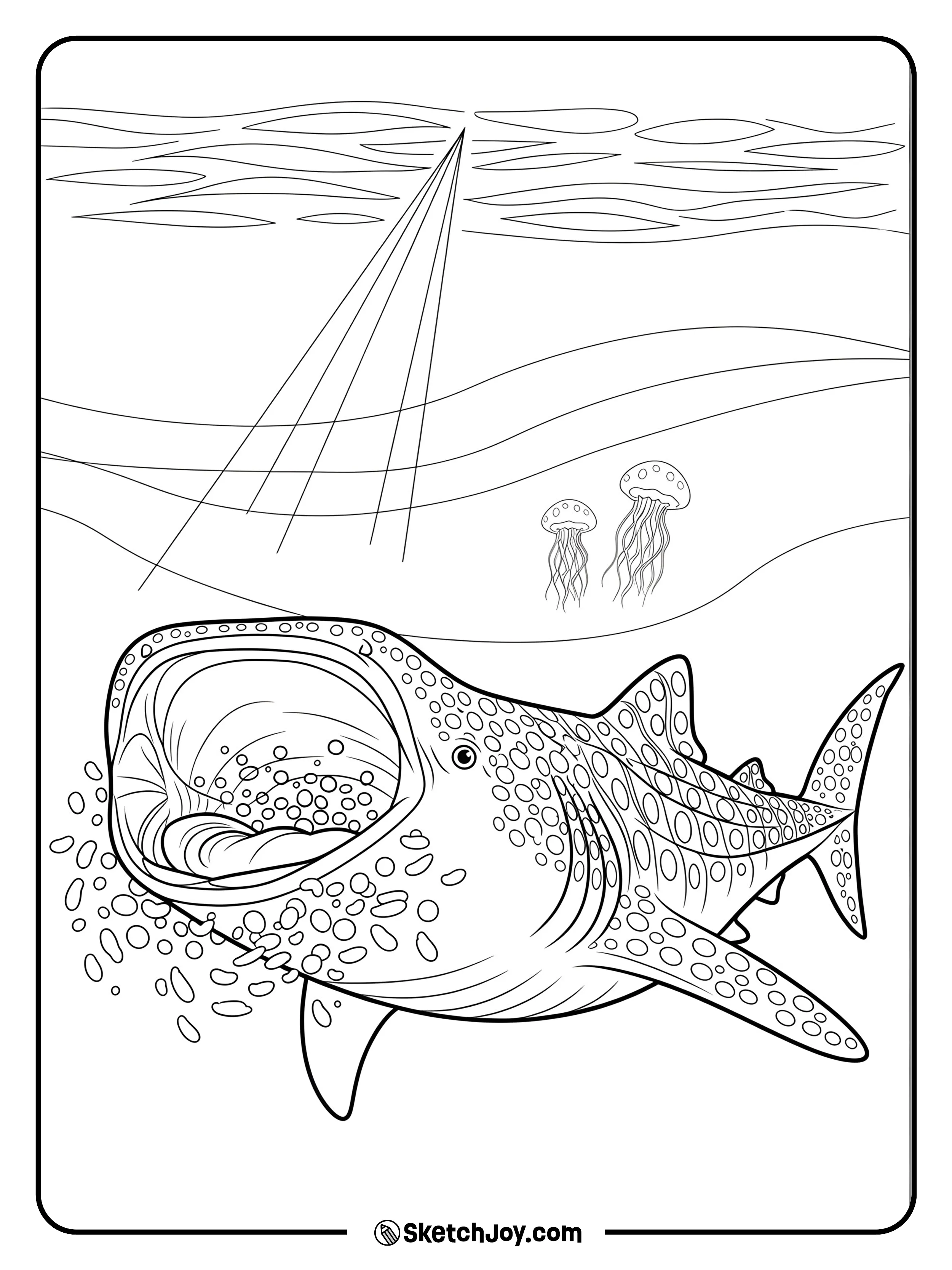 A gentle giant filters tiny snacks in open water.