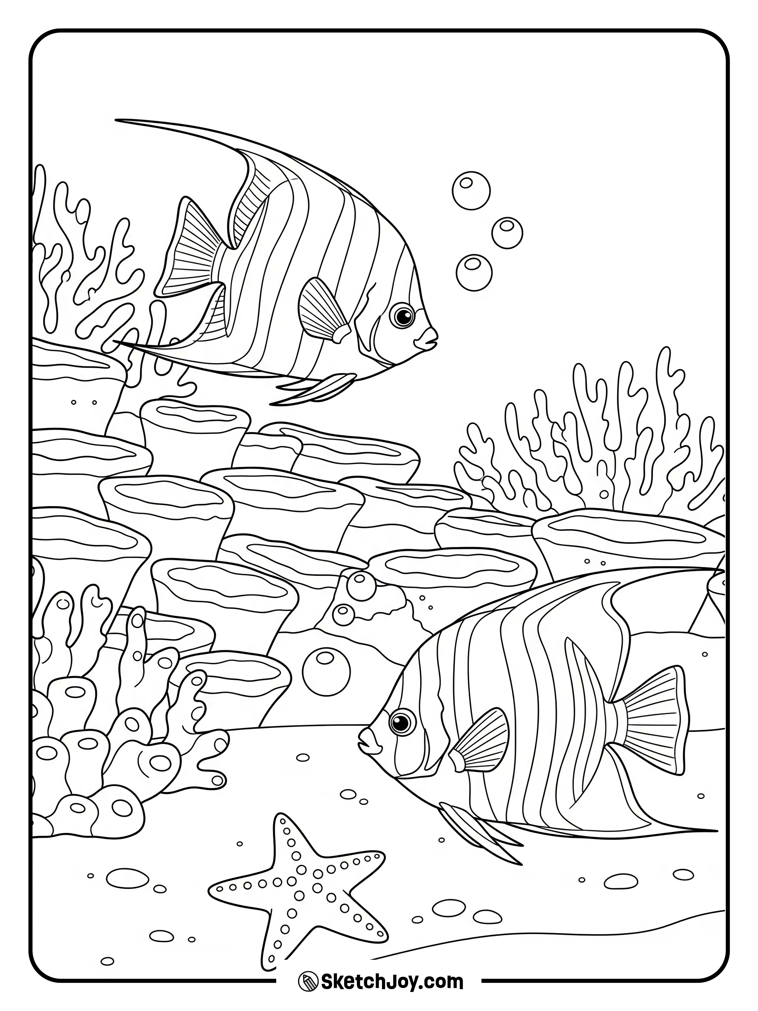 Two angelfish pass each other by a reef edge.
