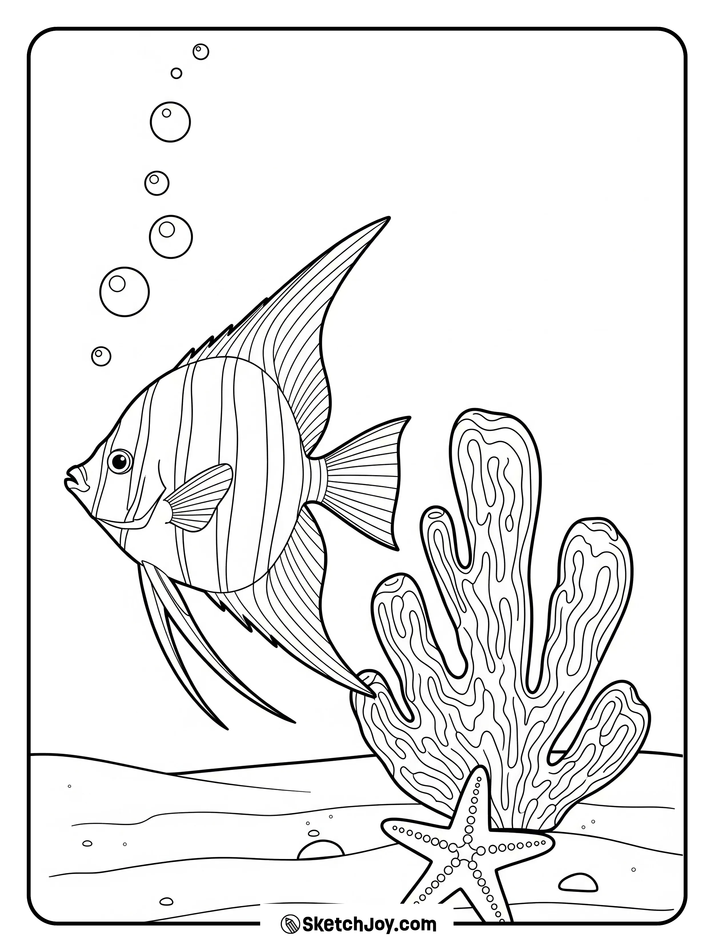 A tall angelfish passes a sea fan.