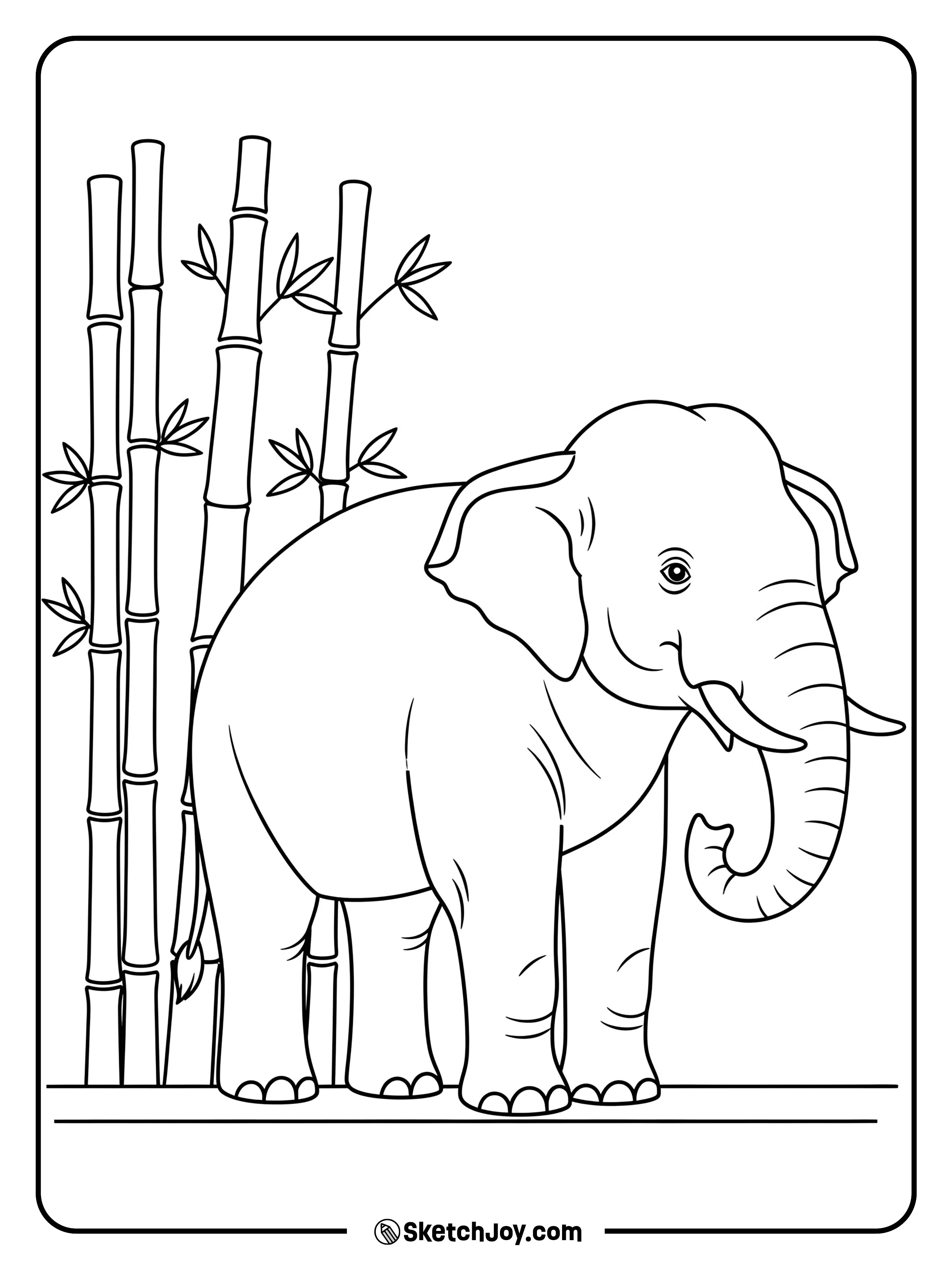 A smaller-eared elephant stands near a few bamboo stalks.