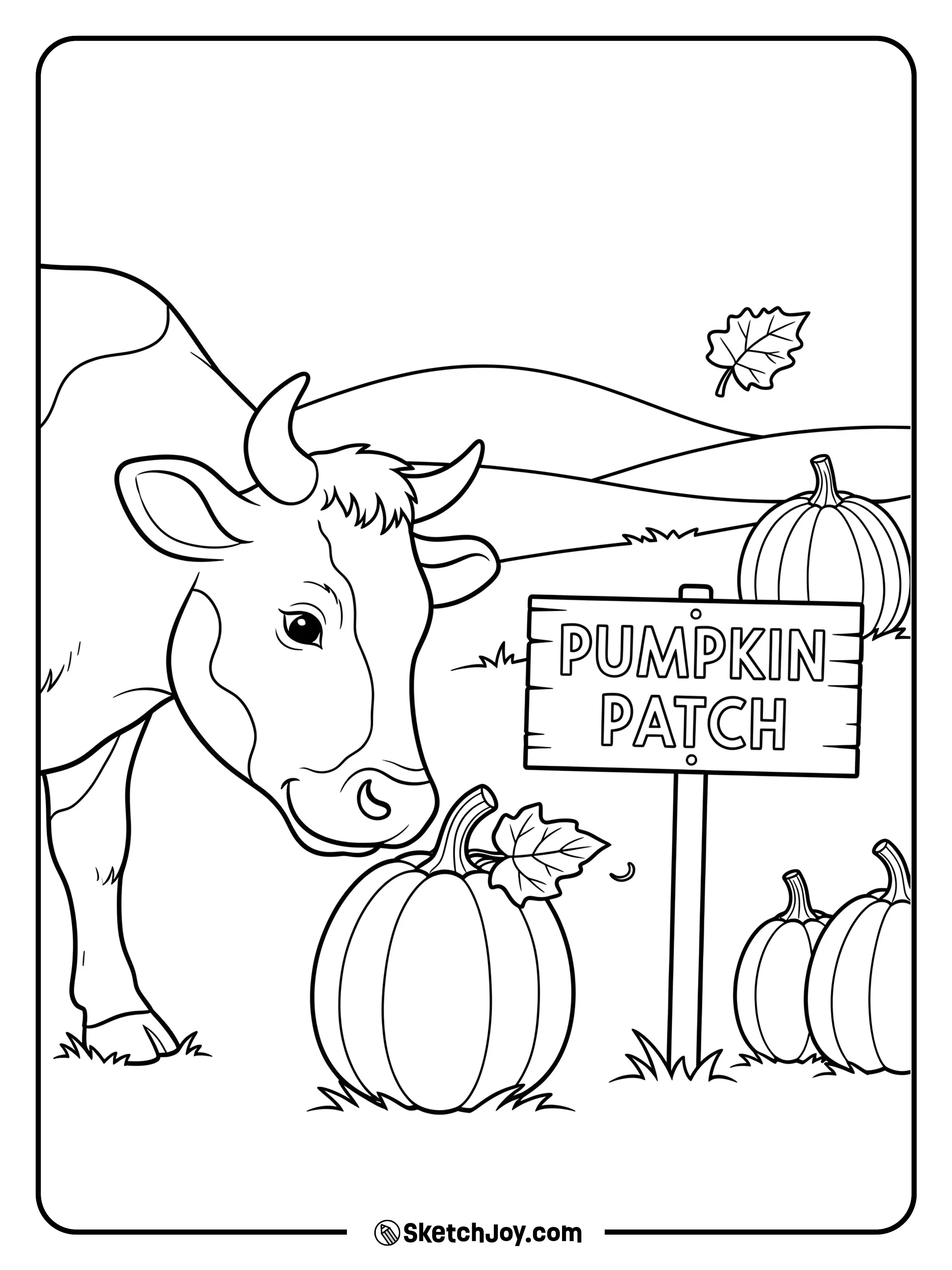 A friendly cow noses a pumpkin in a tidy patch.