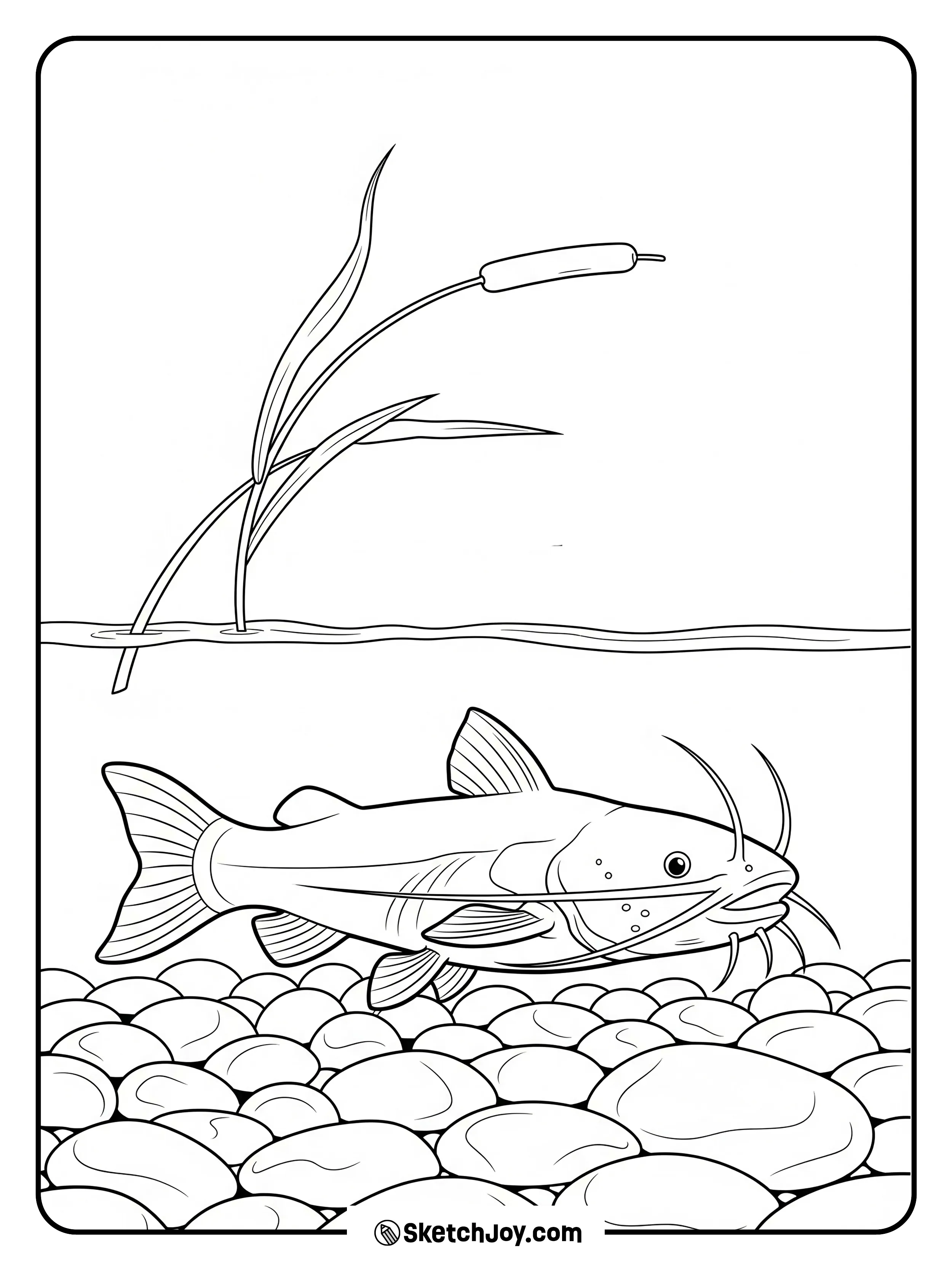 A catfish with whiskers glides above smooth stones.