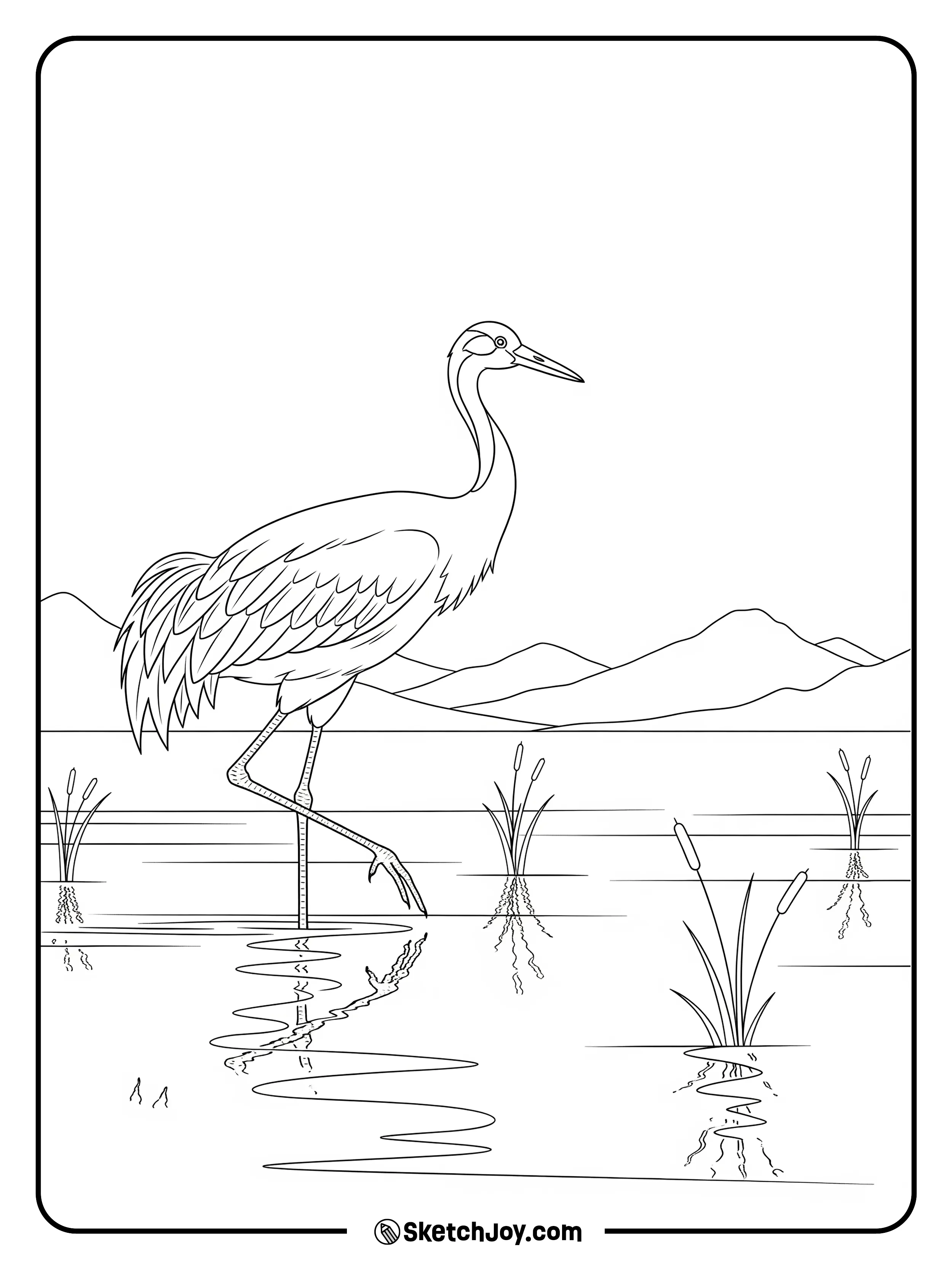 A quiet crane steps through low water.