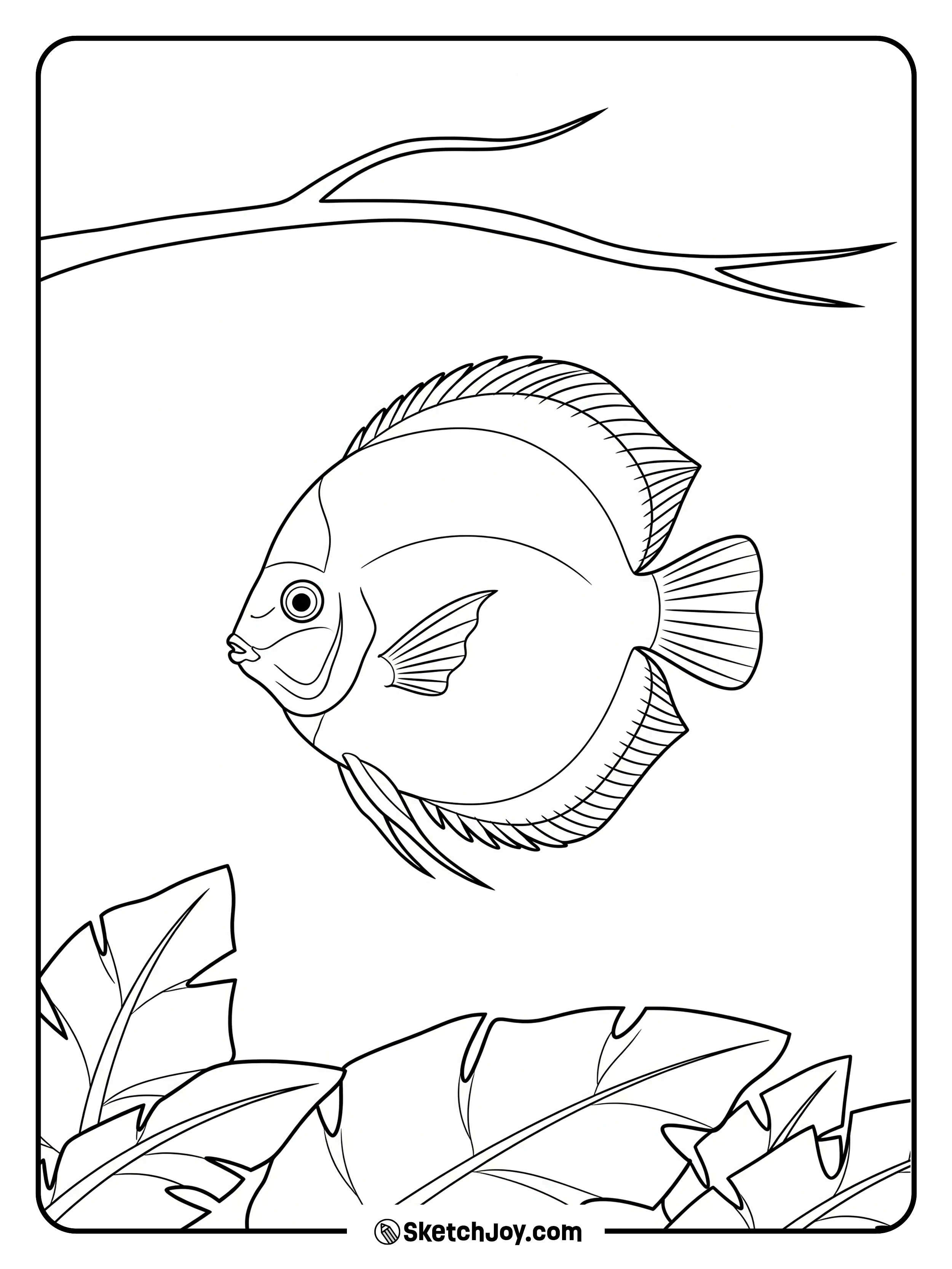 A discus floats above leaf litter in still water.