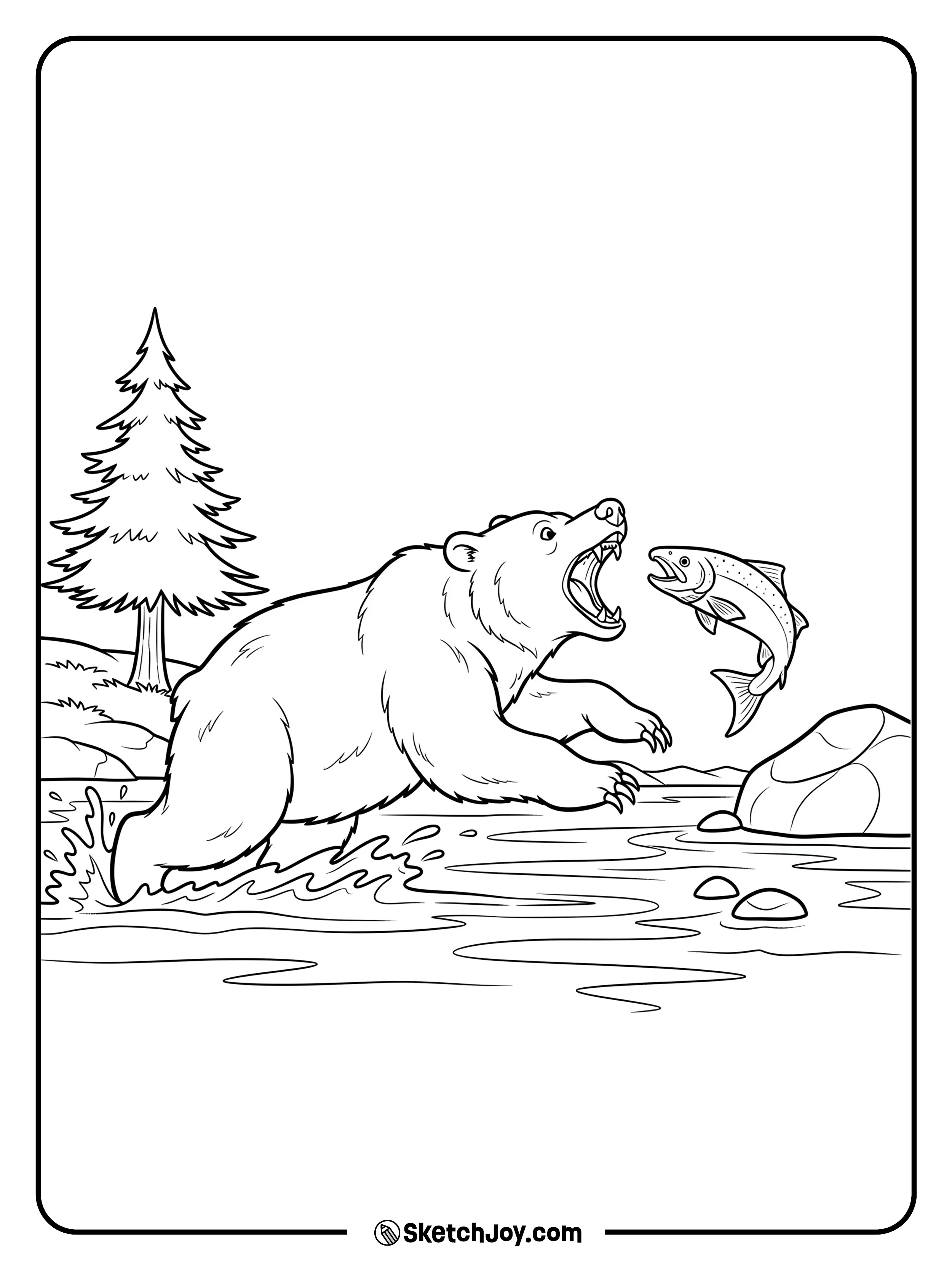 A strong grizzly splashes through a shallow river to snatch a leaping salmon.