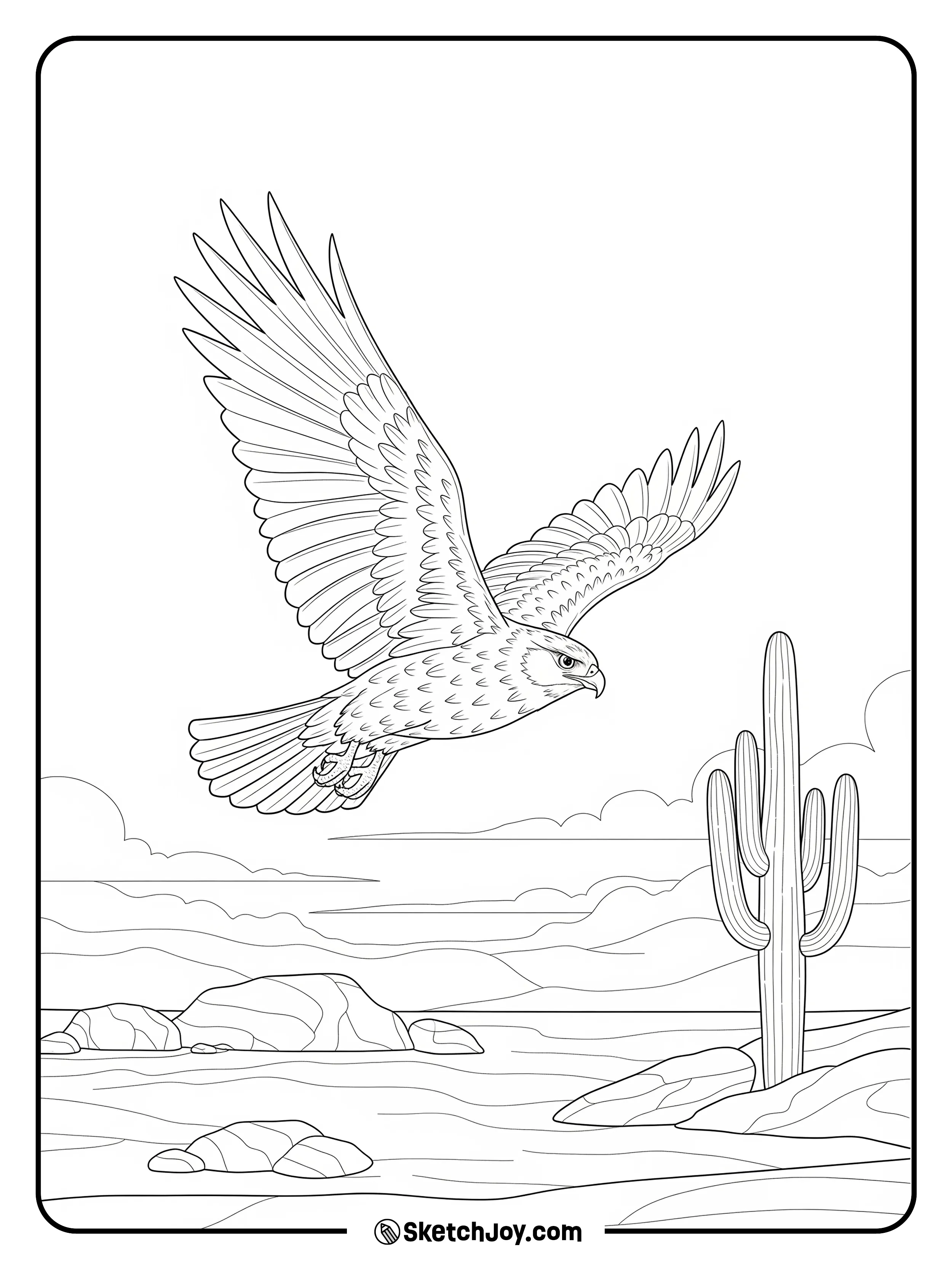 A hawk soars over dry land.