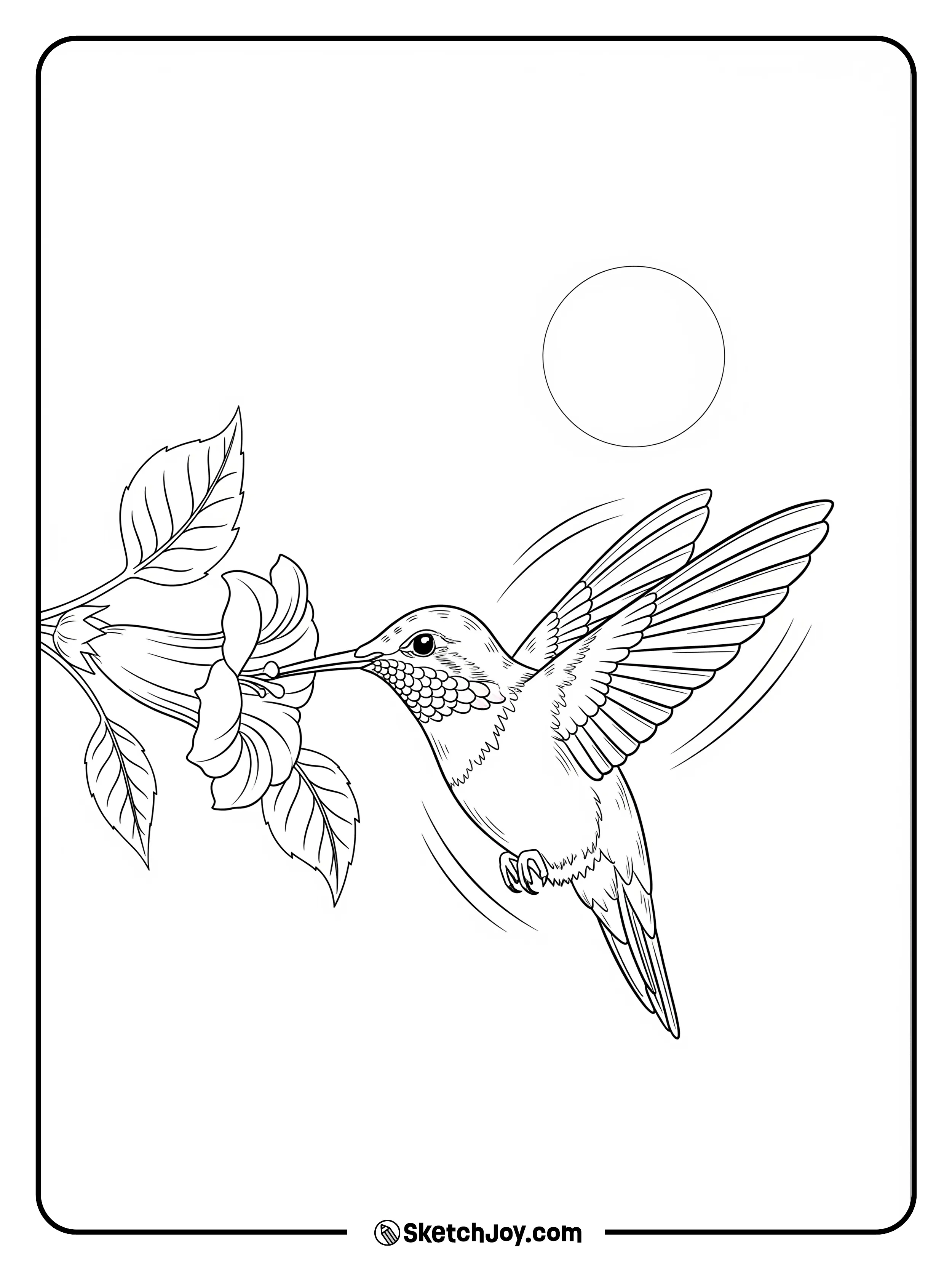 A tiny hummingbird sips from a flower.