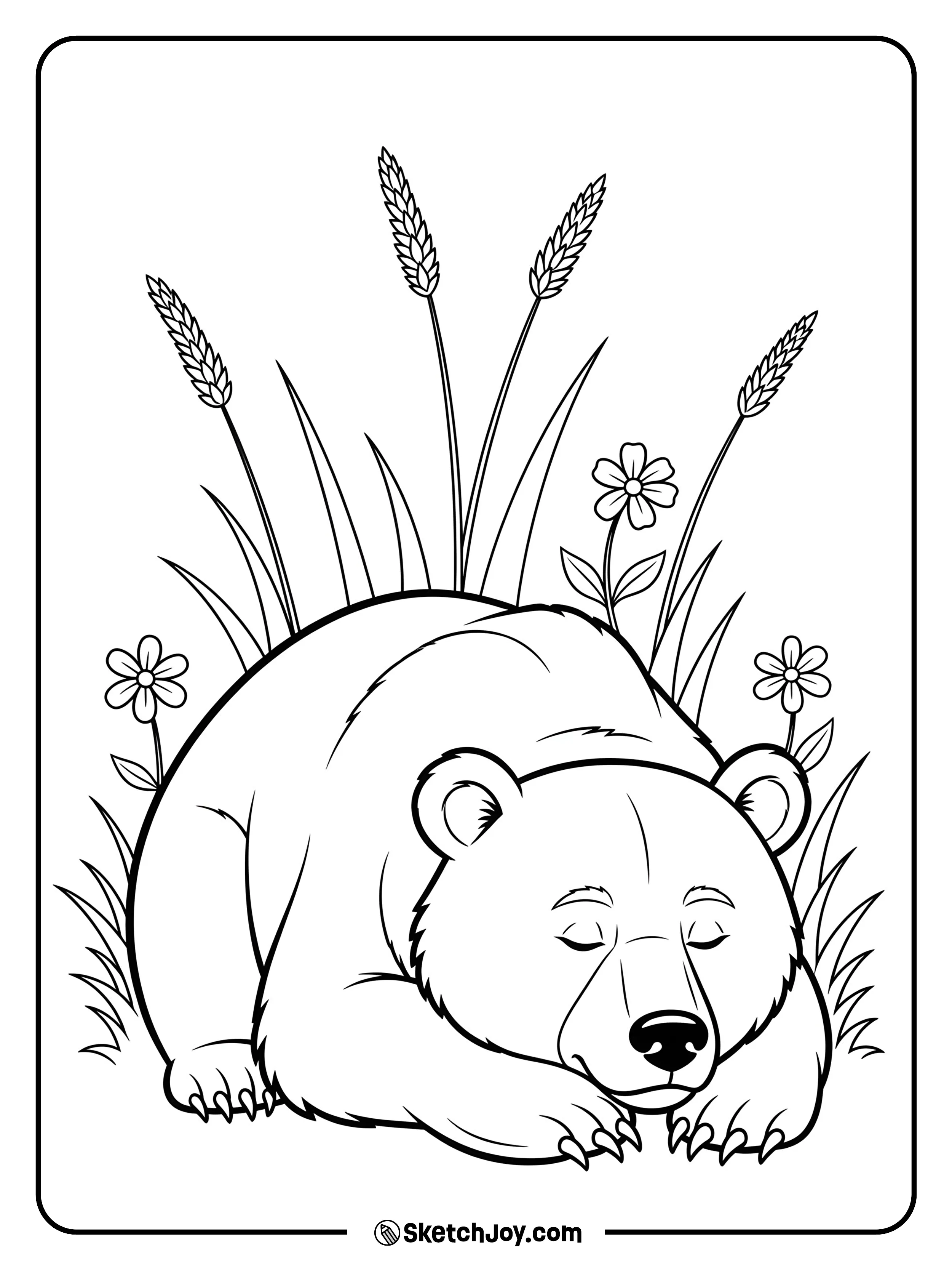A tired grizzly rests on its side in a quiet meadow.
