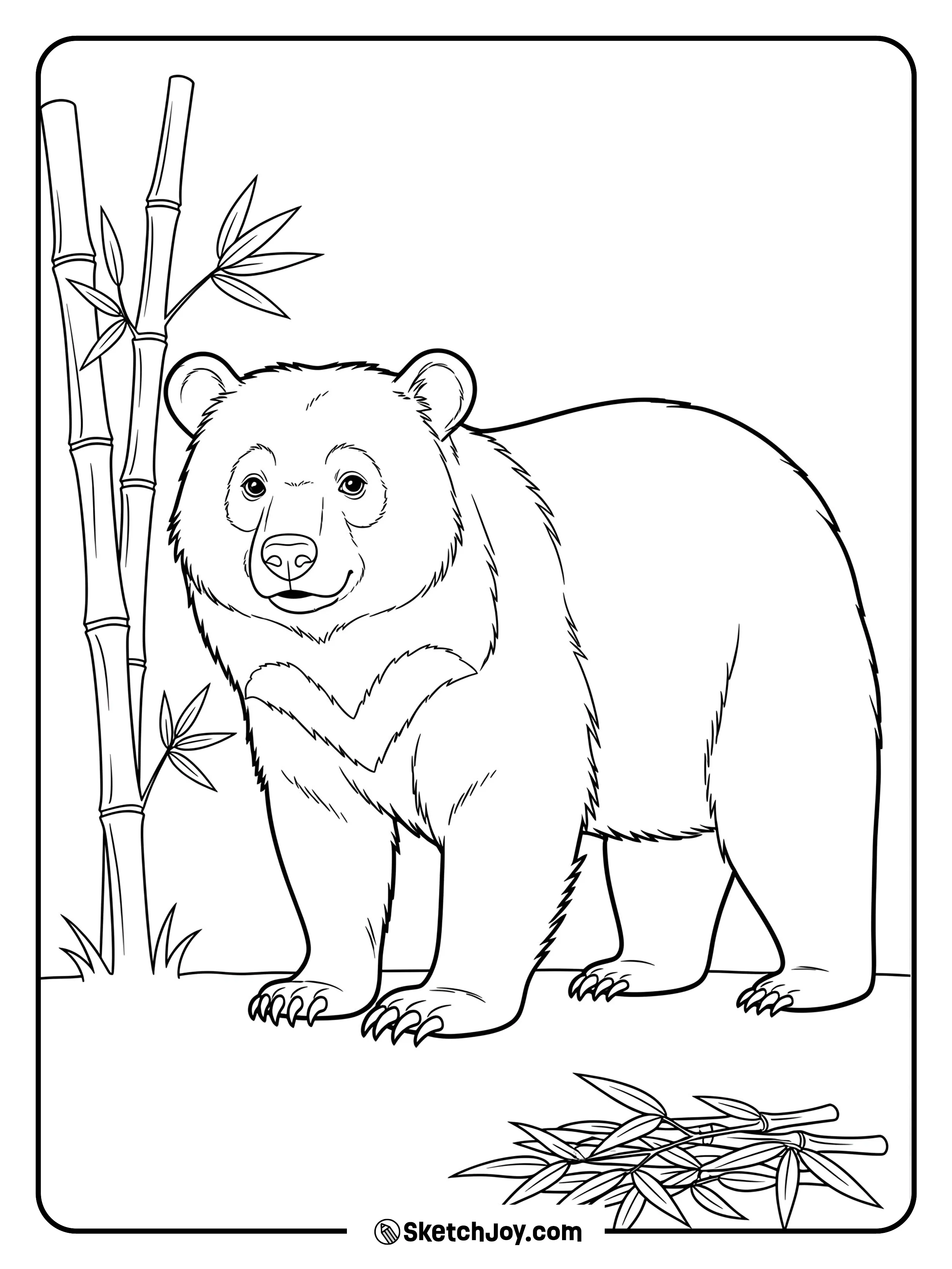 An Asian black bear shows its crescent chest mark near thin bamboo.