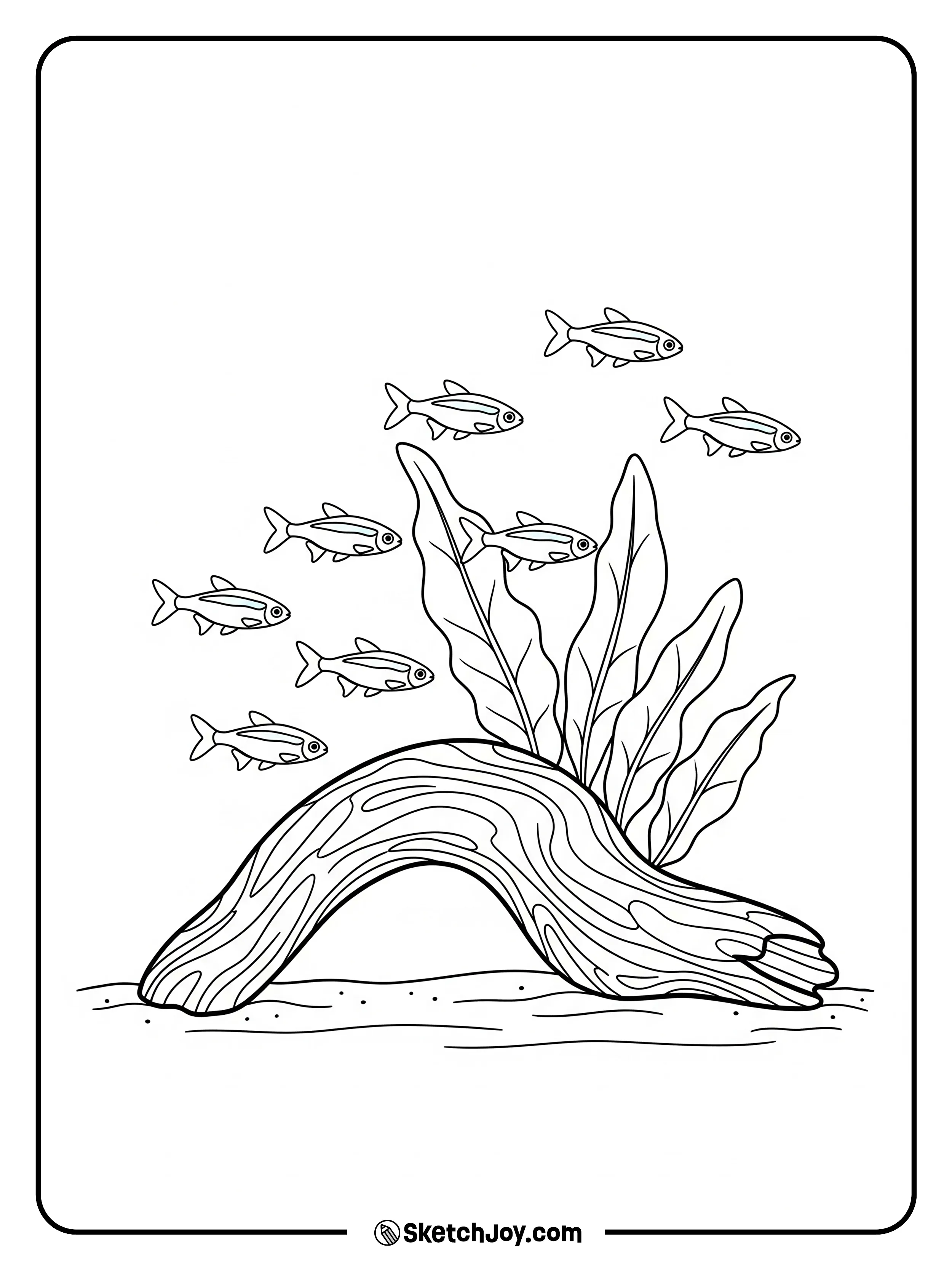 Tiny tetras gather near a driftwood branch.