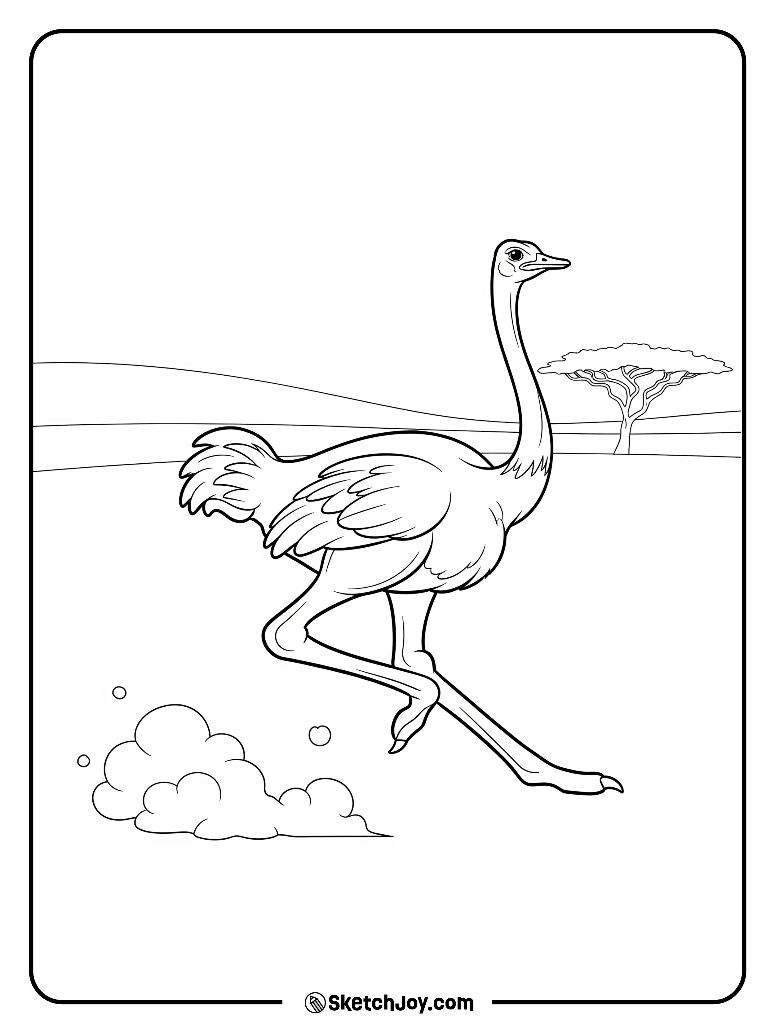 A fast ostrich runs across flat land.