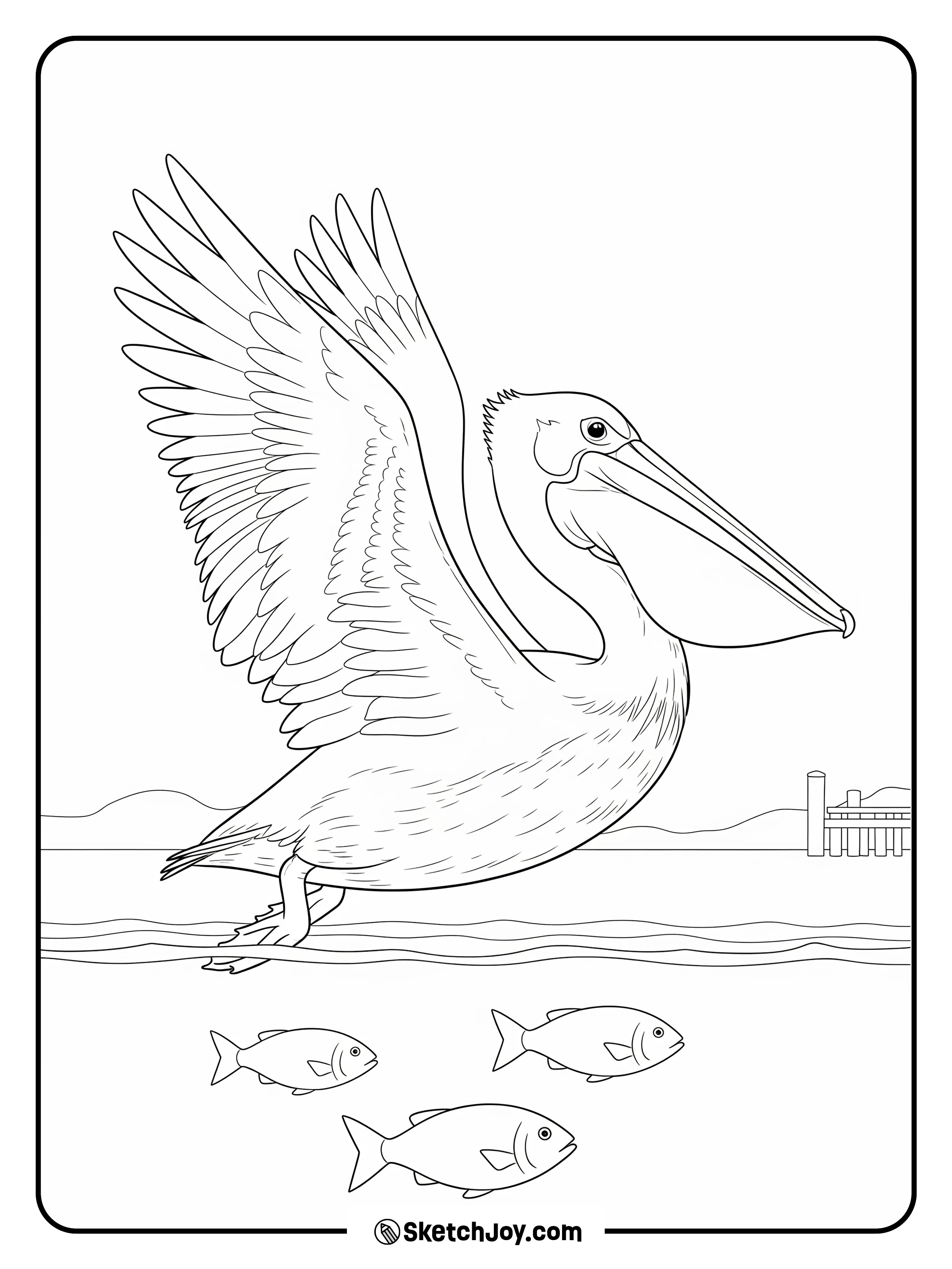 A pelican glides with its big beak open.