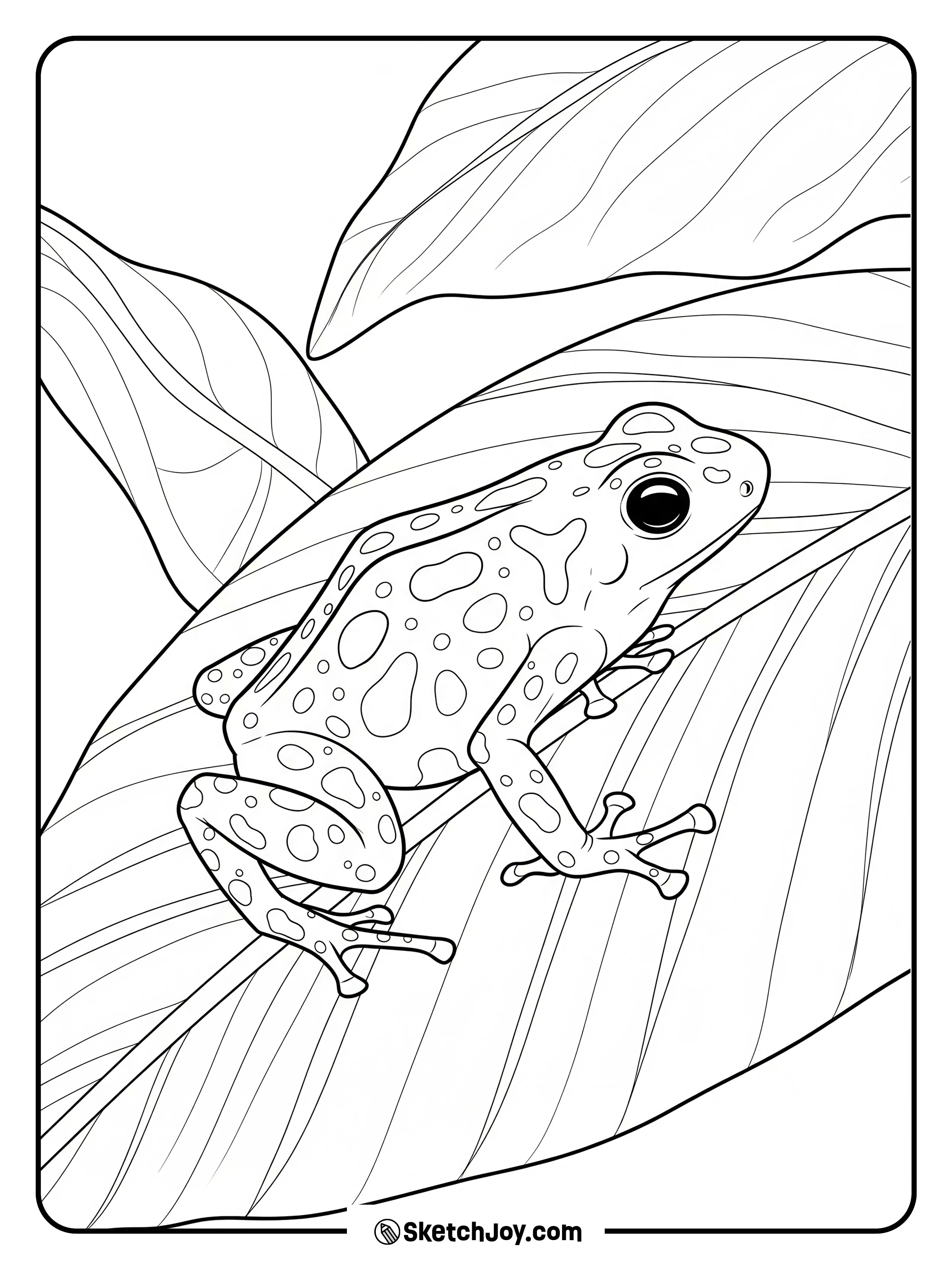 A patterned frog rests on a broad leaf.