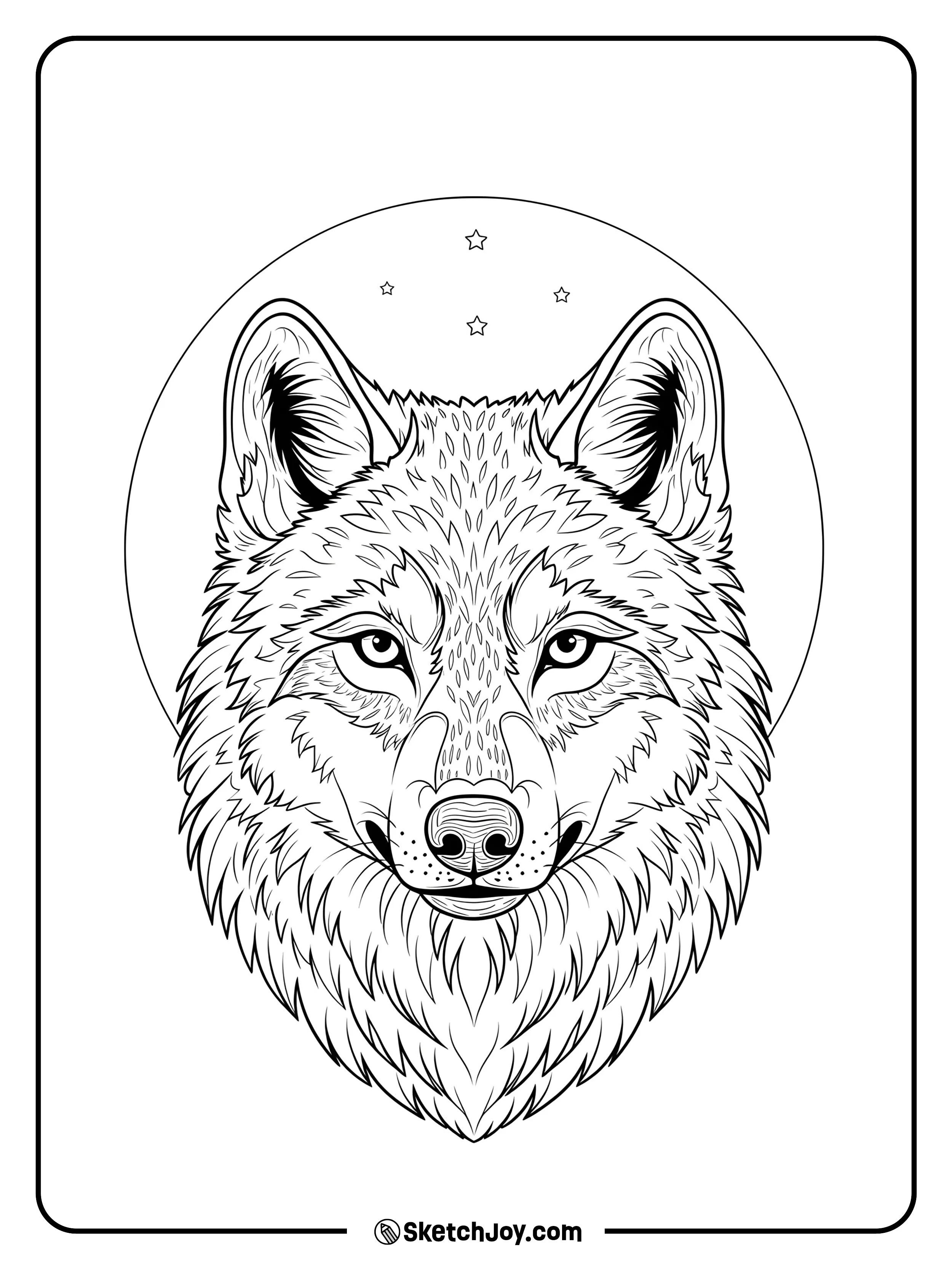 A front-facing wolf stares ahead with calm eyes.