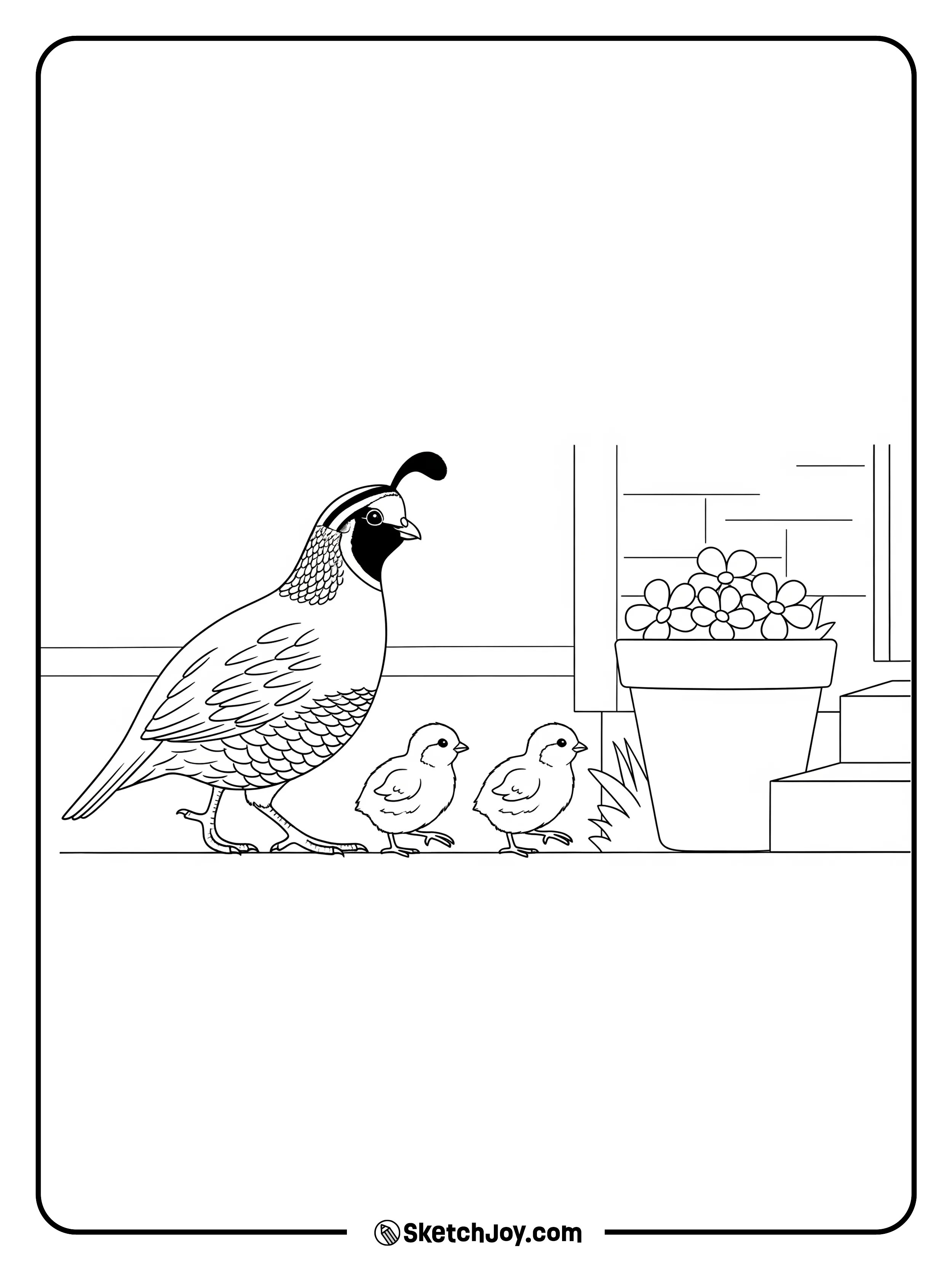 A quail walks with tiny chicks.