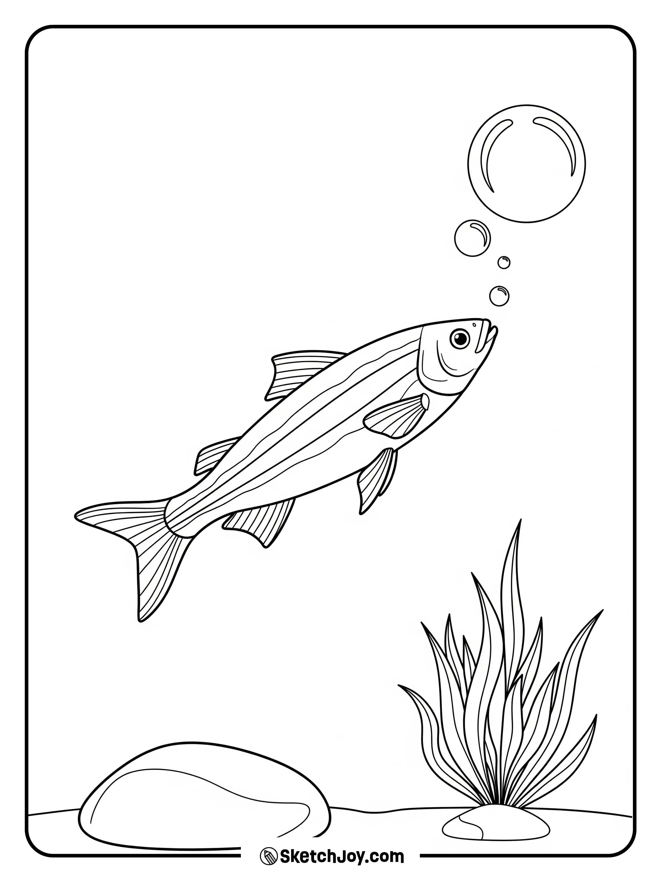 A rainbowfish darts toward a bubble.