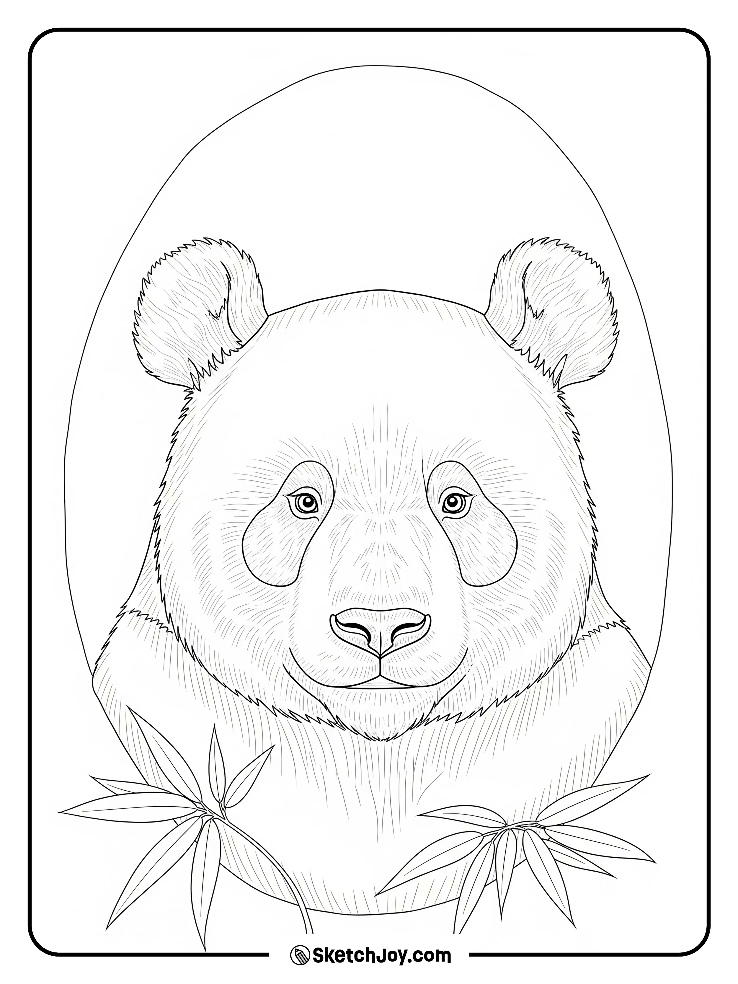 A close-up panda face with clear fur lines.