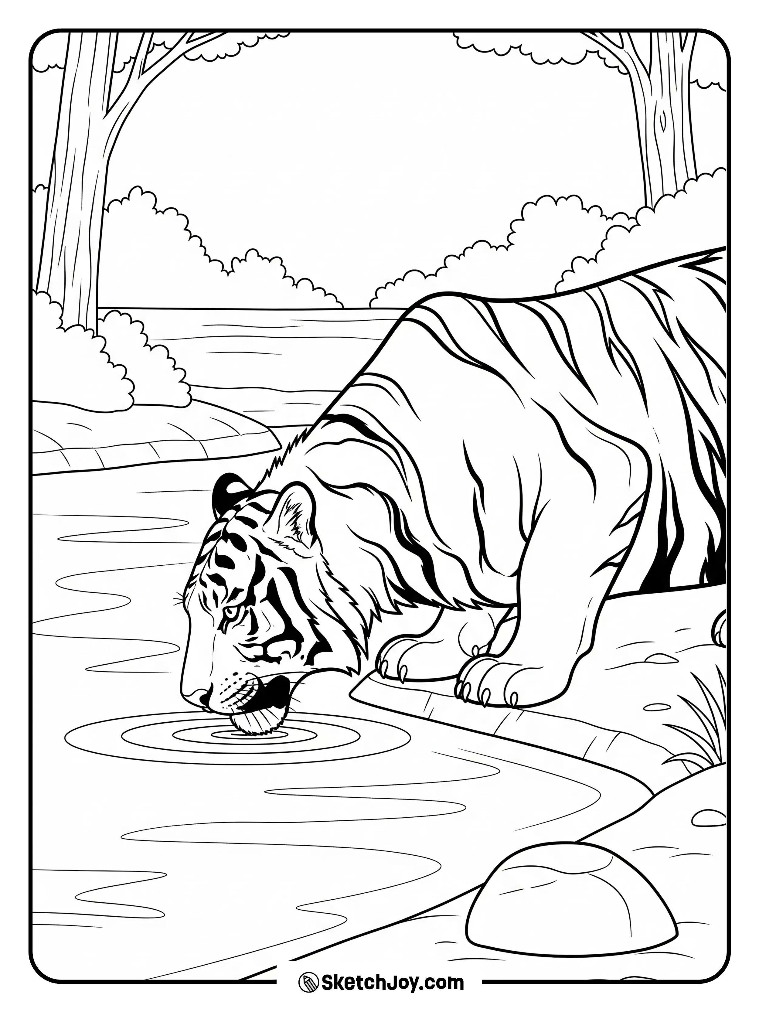 A tiger lowers its head to sip from the river.