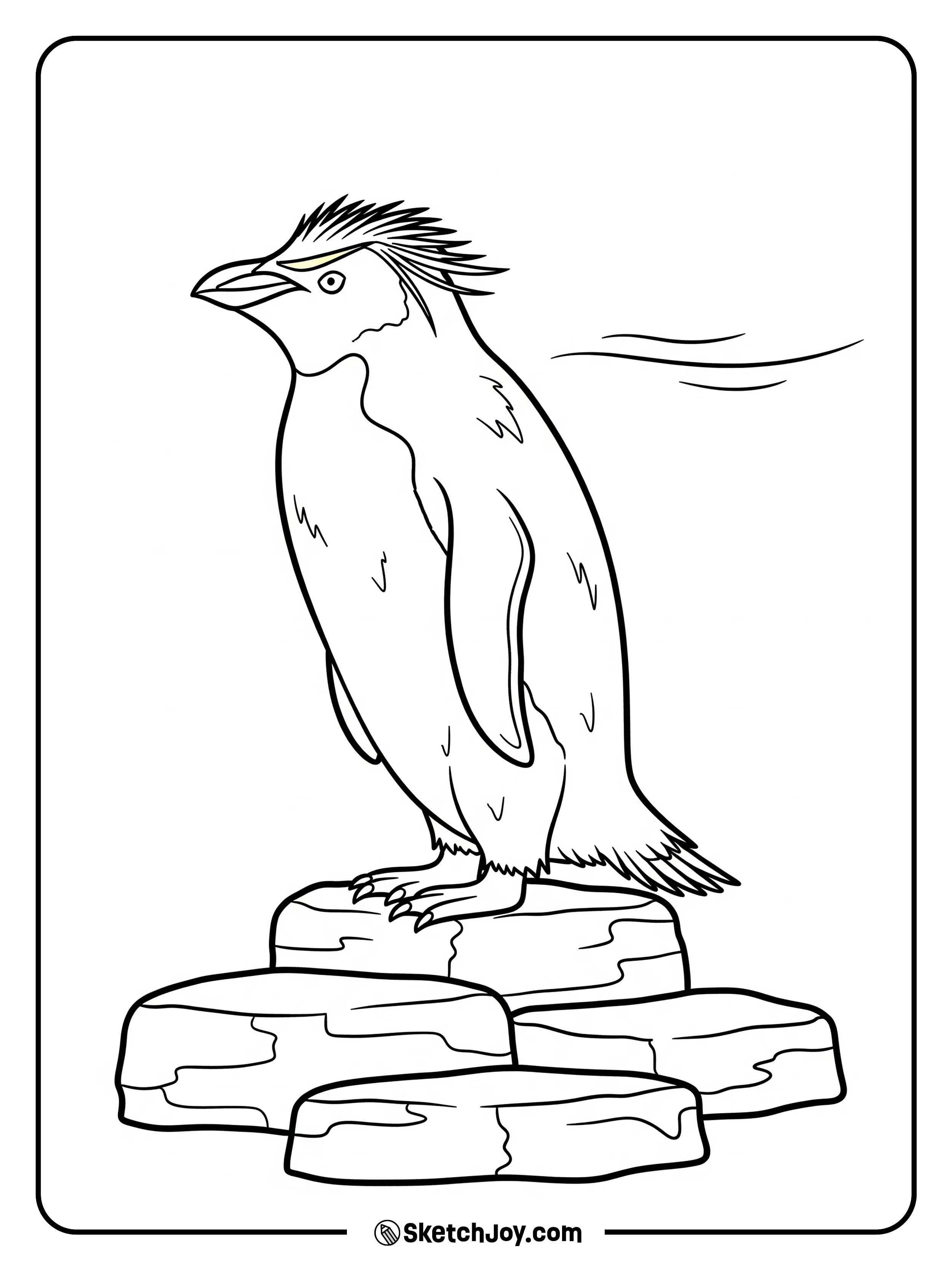 A rockhopper penguin shows spiky crest as it balances on a rock step.