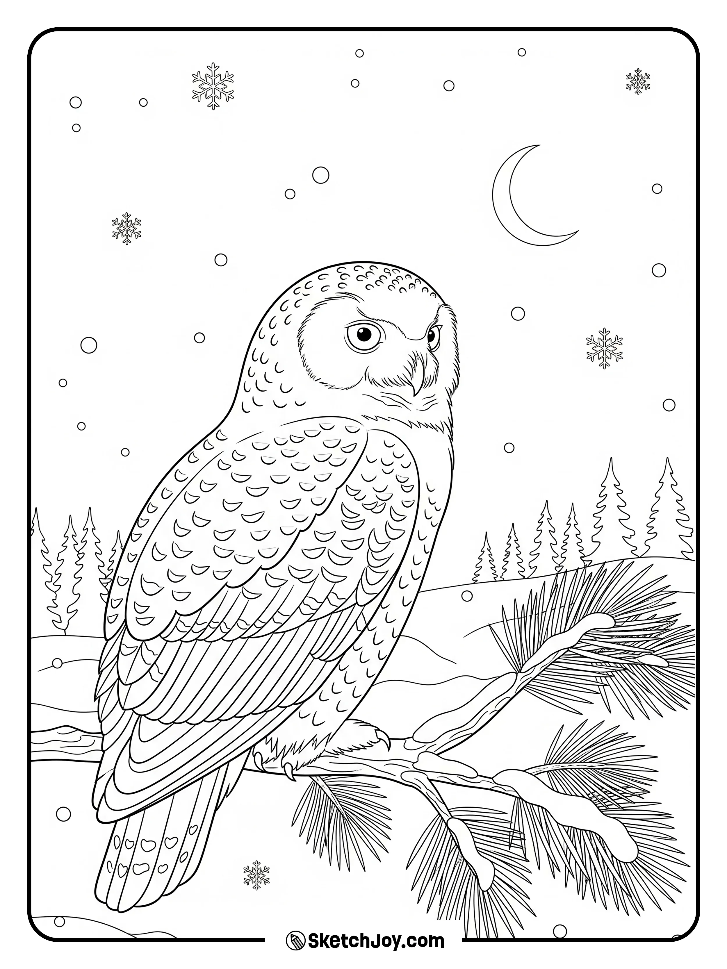 A calm snowy owl sits on a pine branch with light snow and a small moon in the sky.