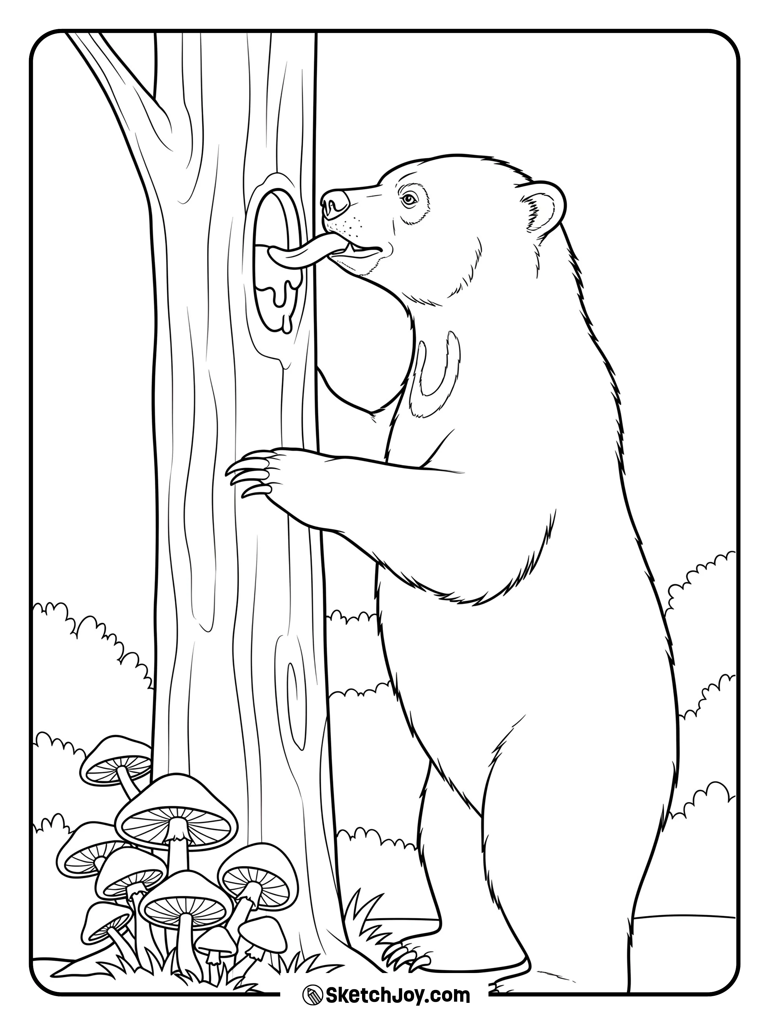 A sun bear licks honey from a tree notch with a bright chest patch.