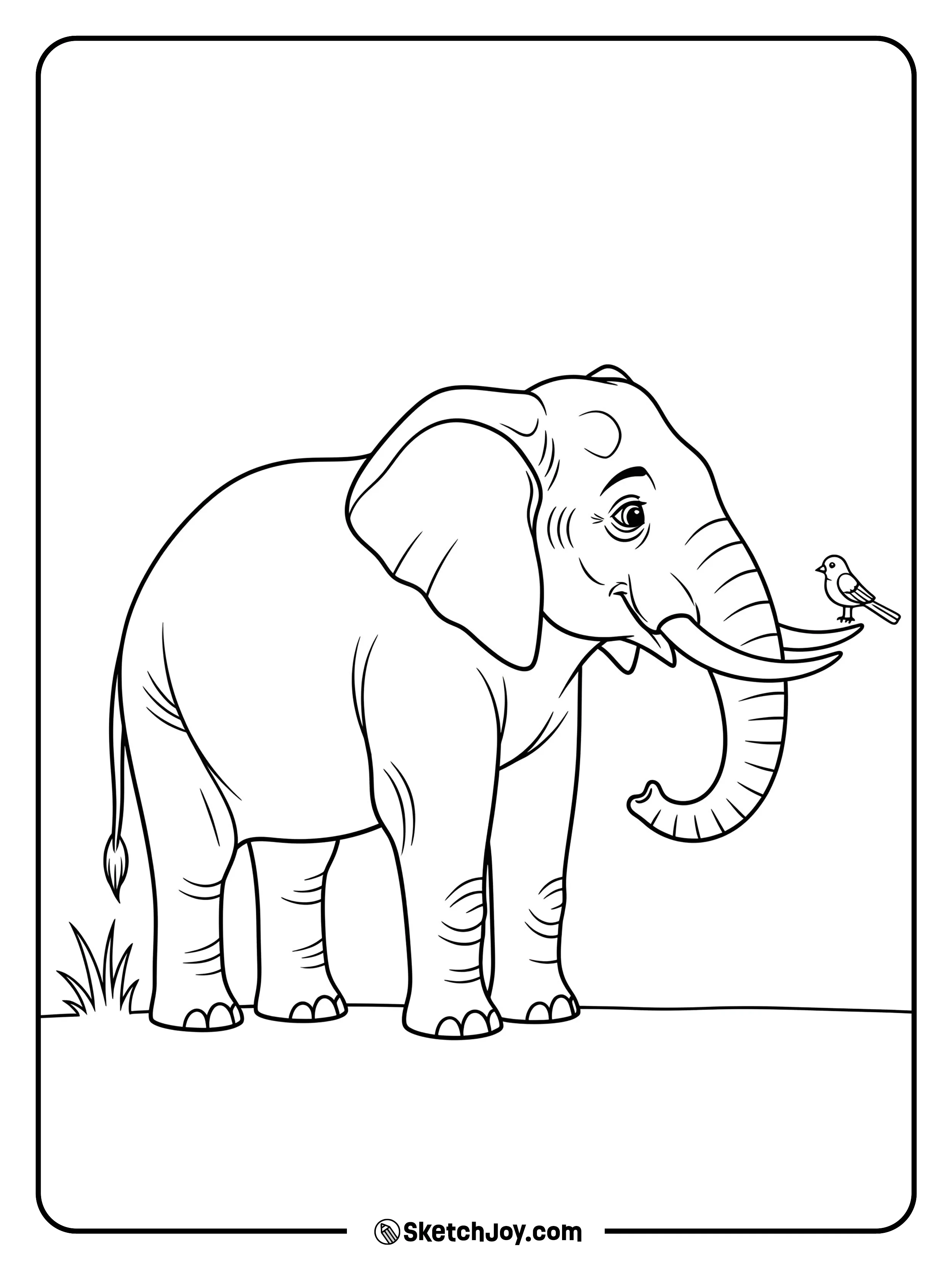 A tiny bird rests on a tusk while the elephant waits calmly.