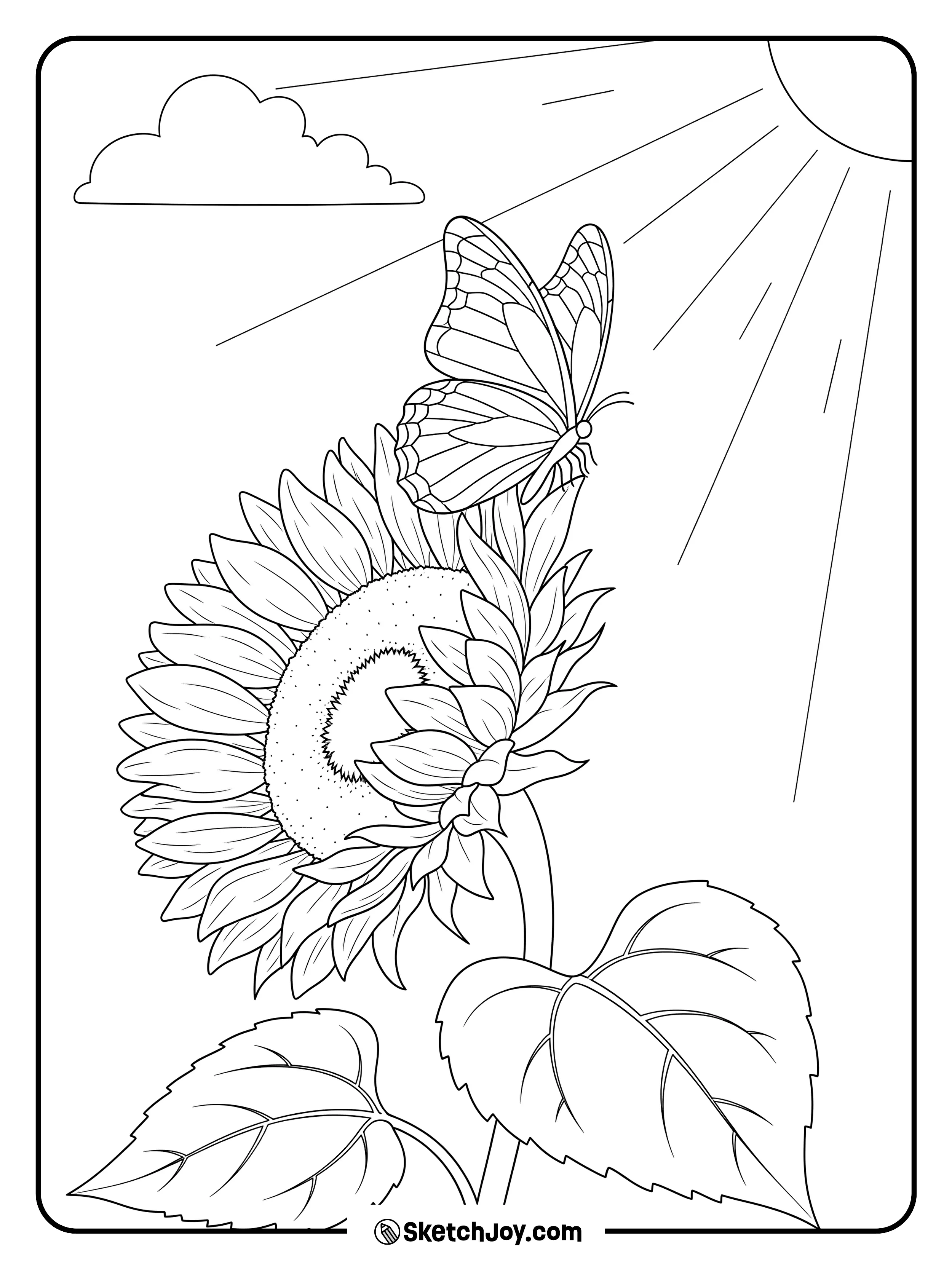 A butterfly lands softly on a wide sunflower.