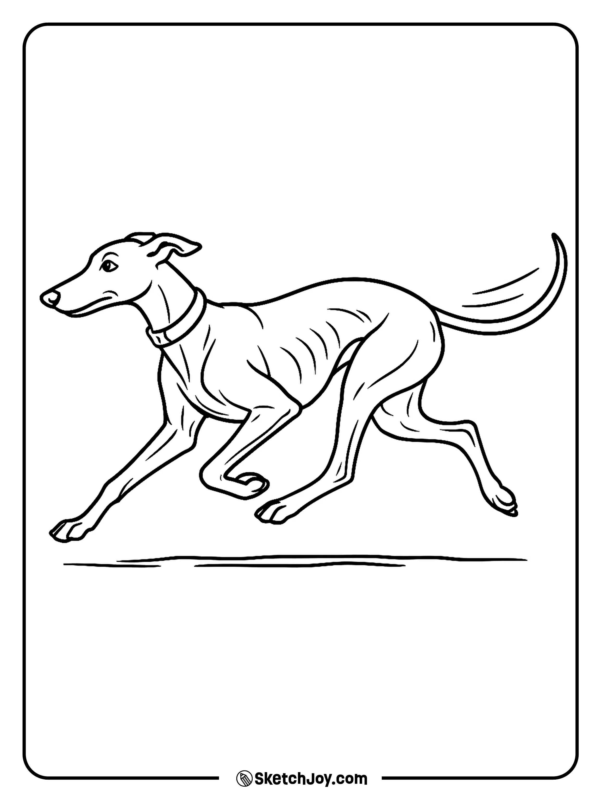 A slim dog runs fast with a sleek, focused pose.