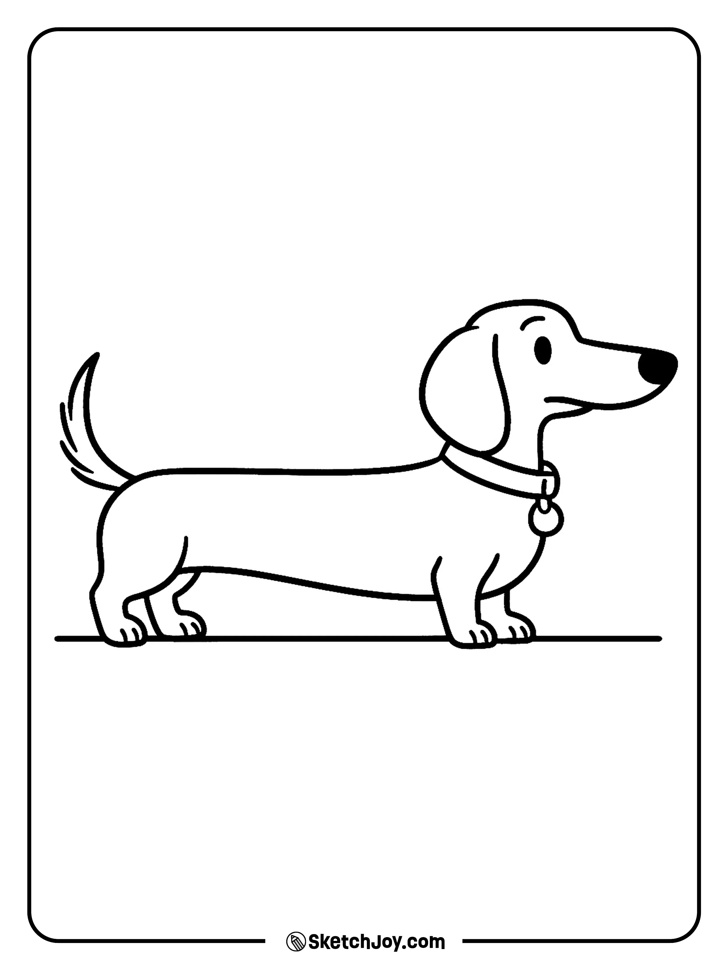A long body dog stands with a calm pose and tiny legs.