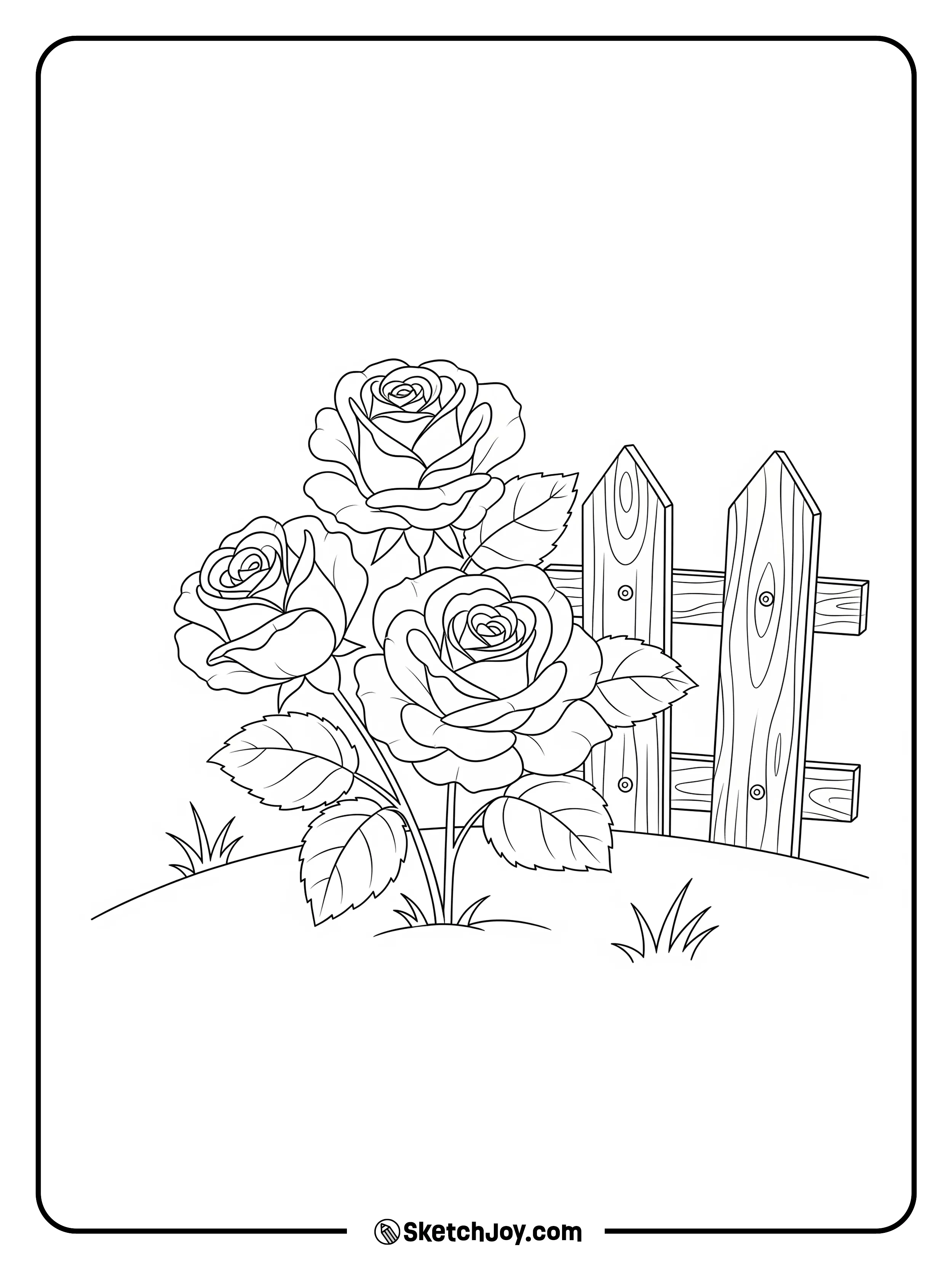 A short bush blooms near a simple fence.