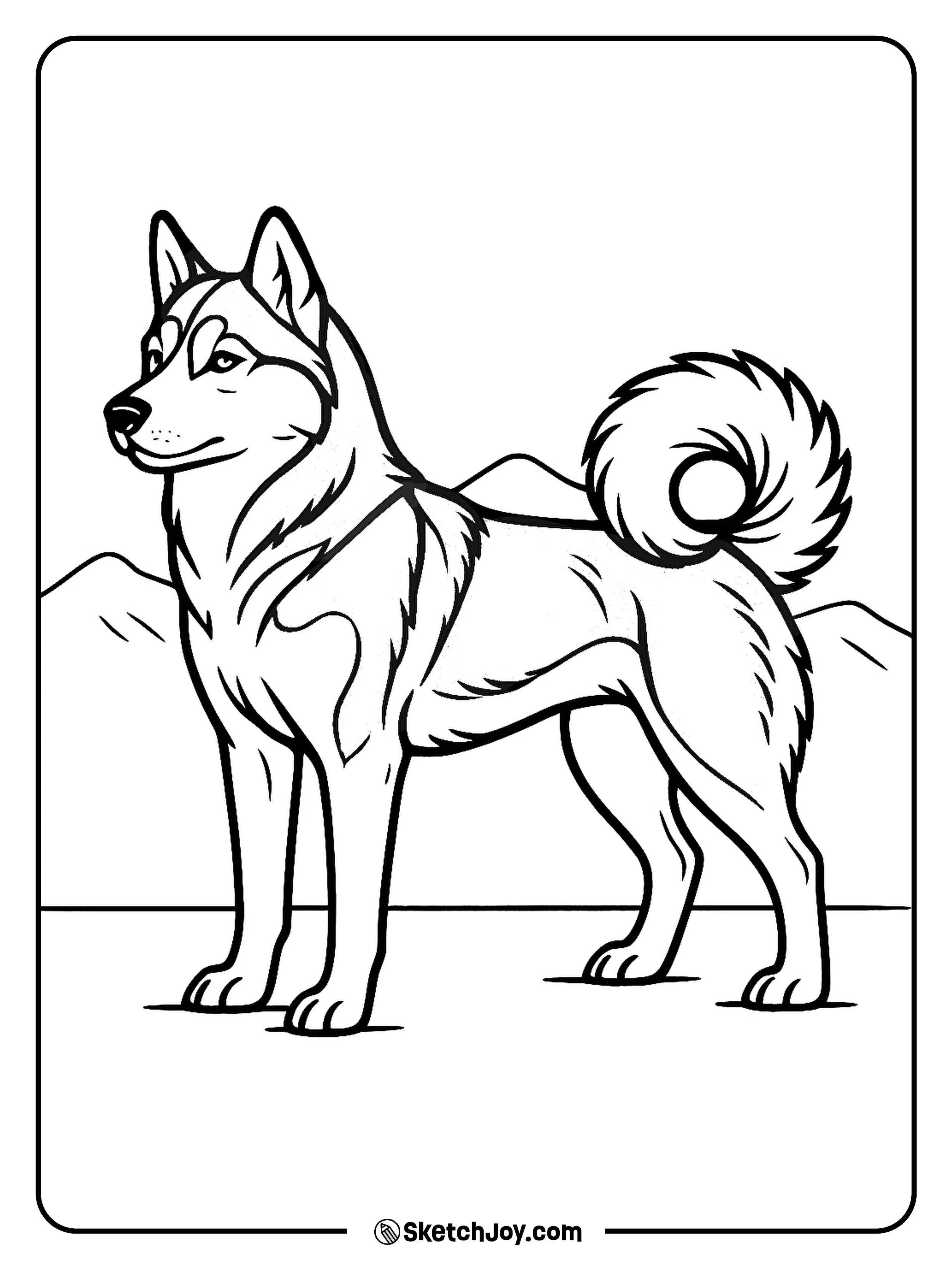 A proud husky stands tall, showing clear fur markings.