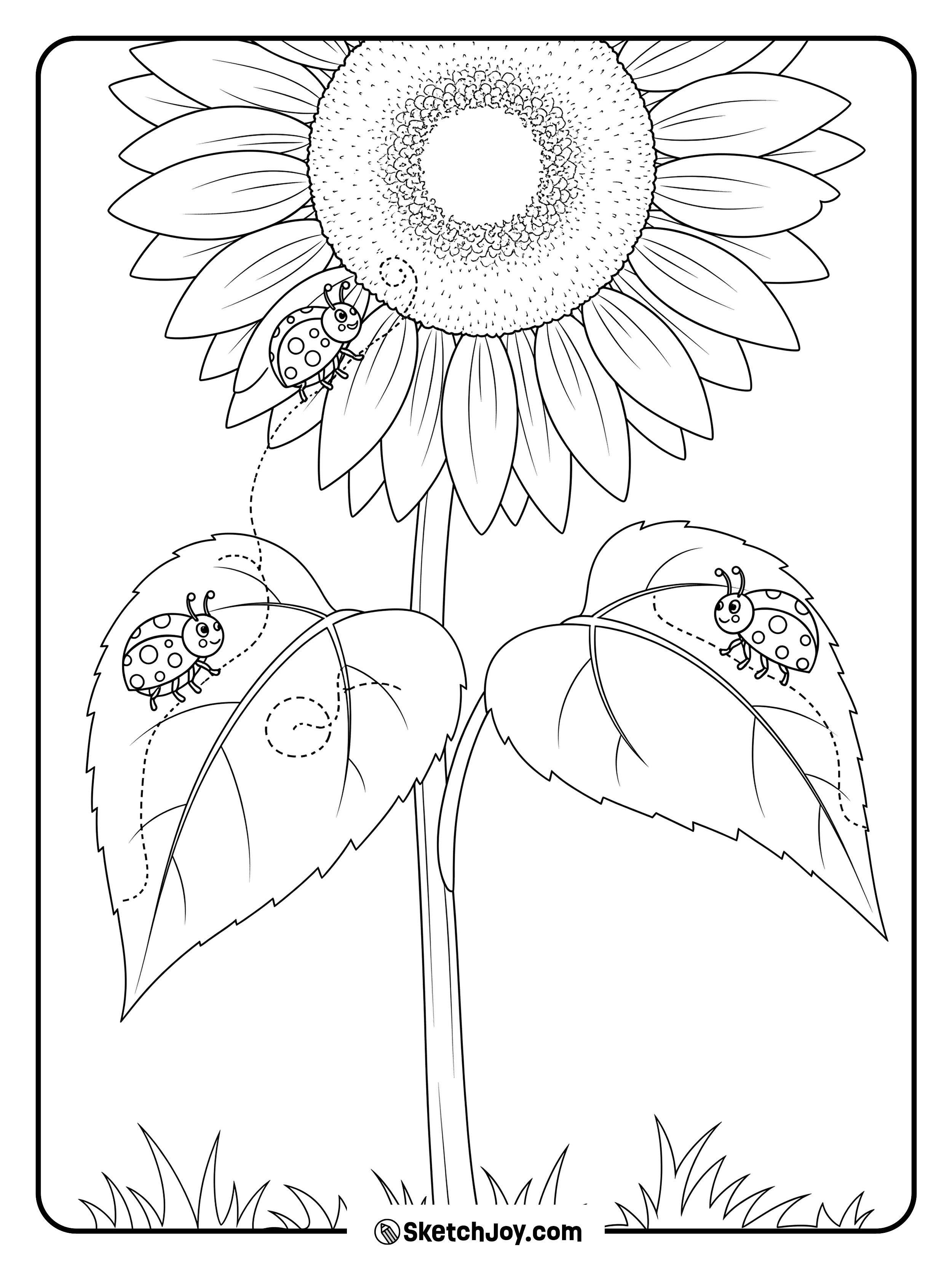 Tiny ladybugs crawl on a bright sunflower leaf.