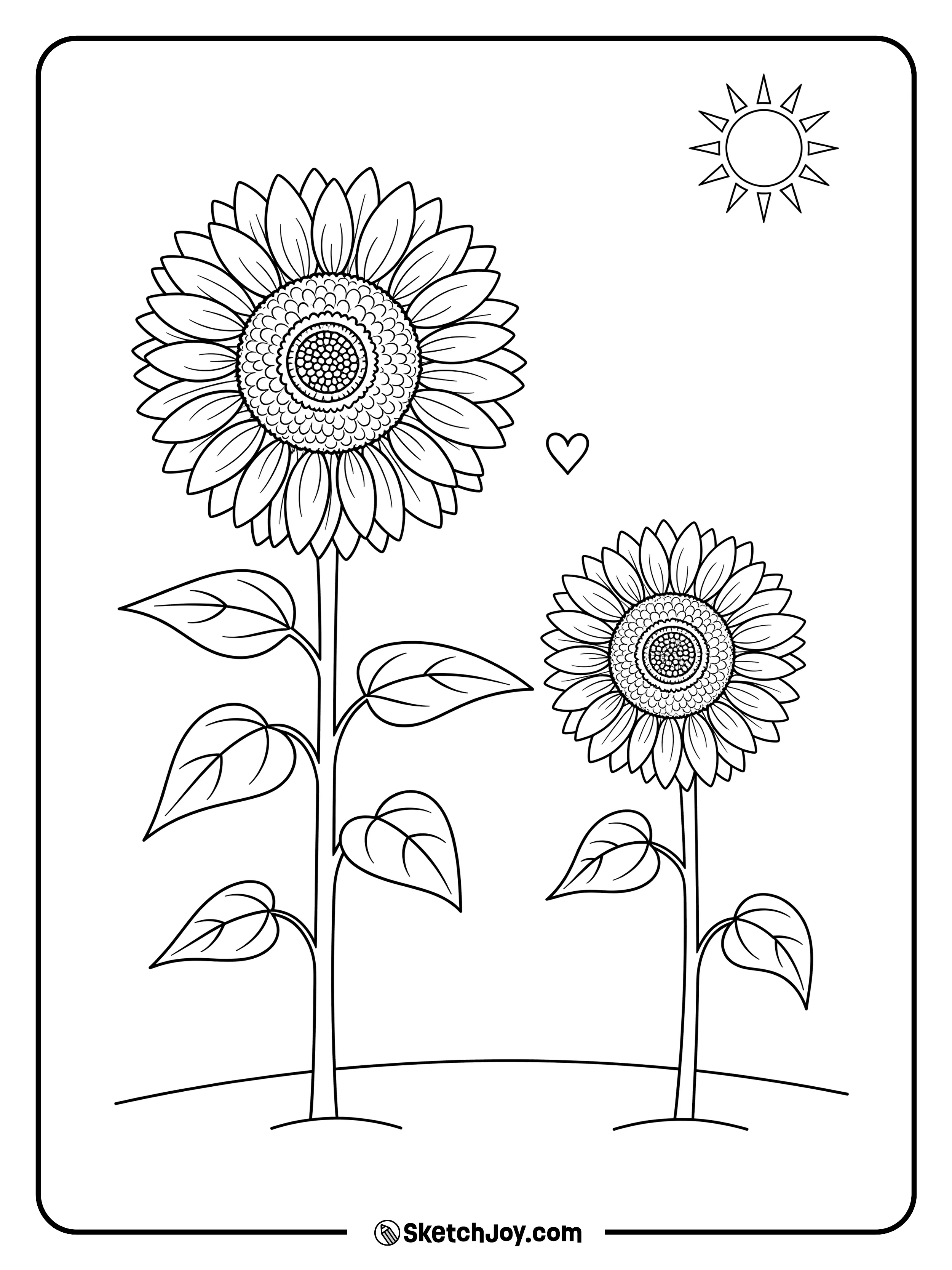 A tall sunflower stands next to a short one like friends.