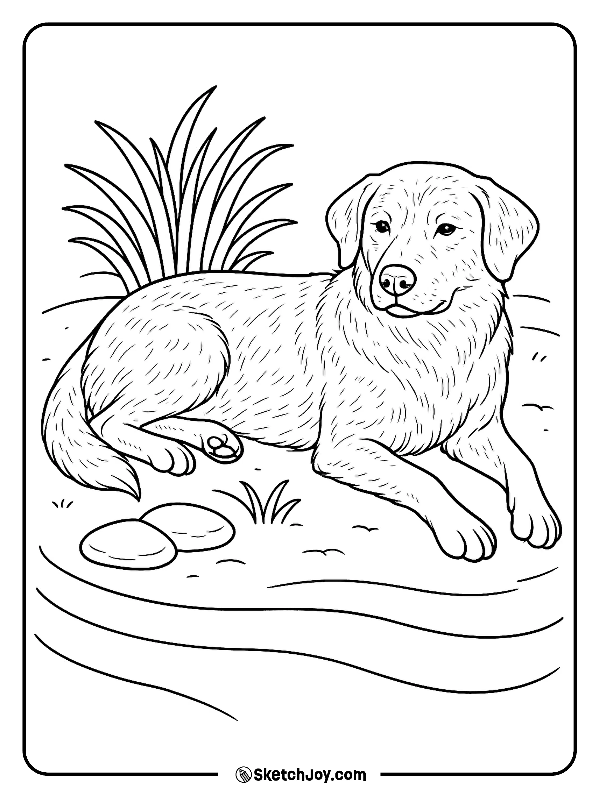 A relaxed dog rests in a small stone and plant garden.