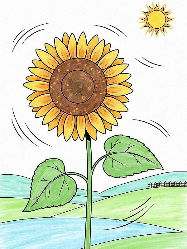 Sunflower Coloring Pages