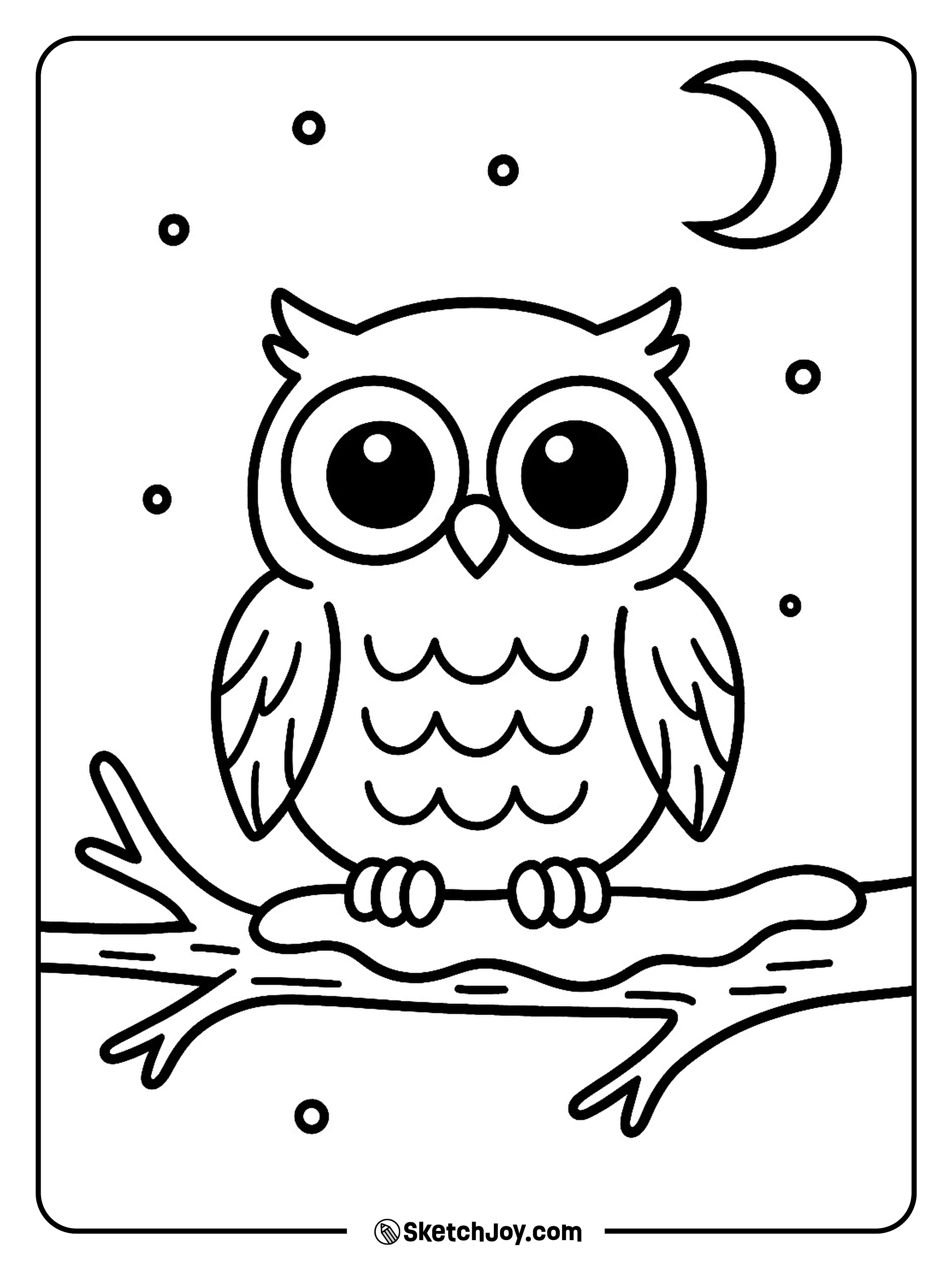 A round owl rests on a branch with snow on top.