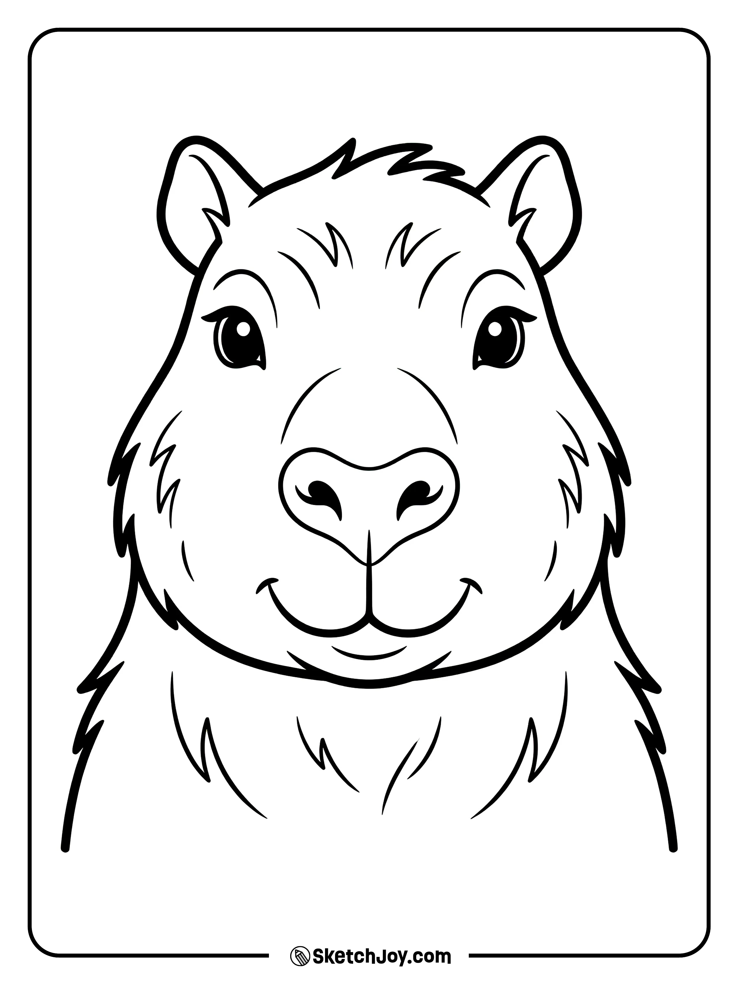 A close-up capybara face looks calm and sweet.