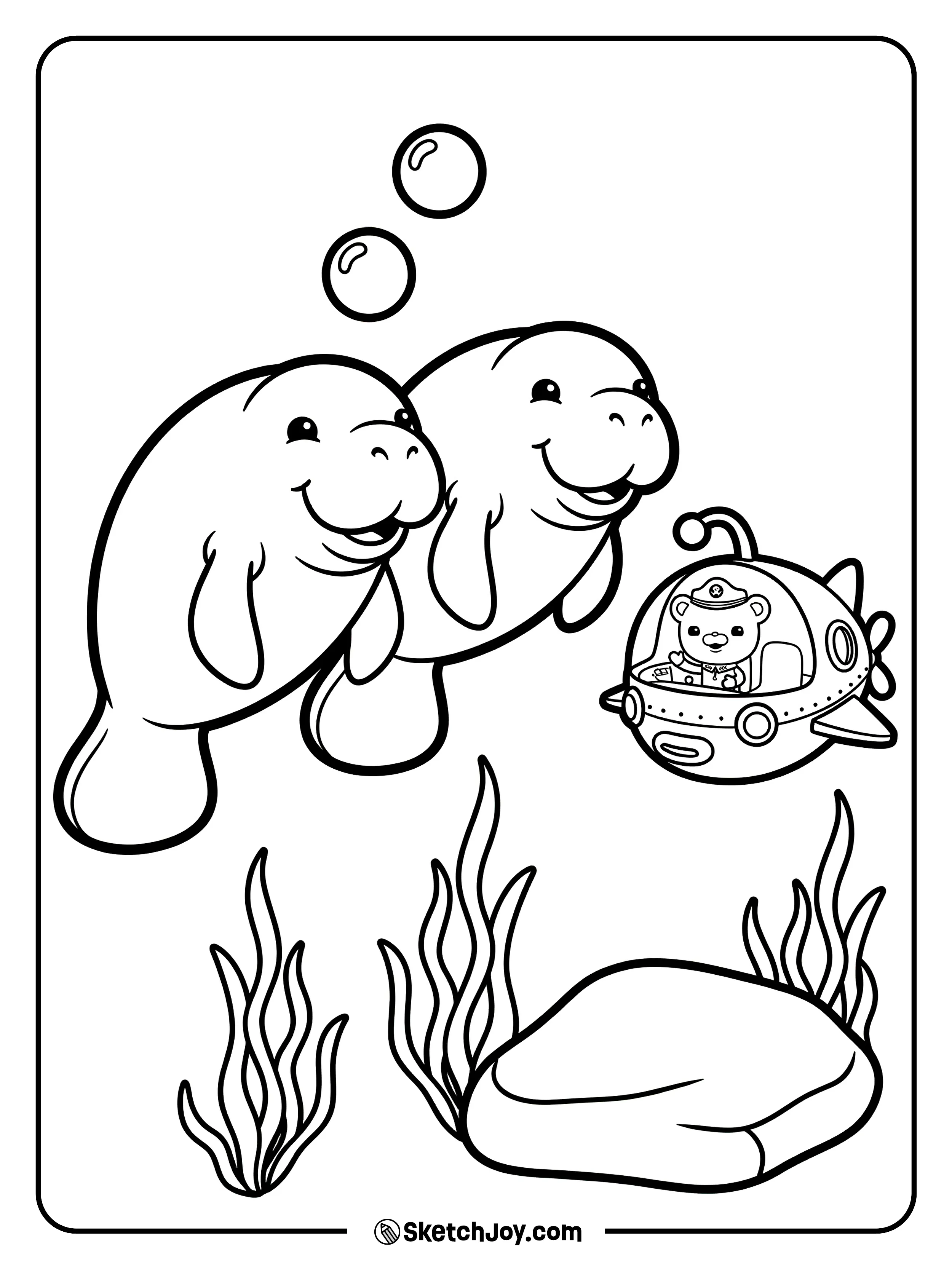 Two manatees swim calmly while the crew watches from a small GUP.