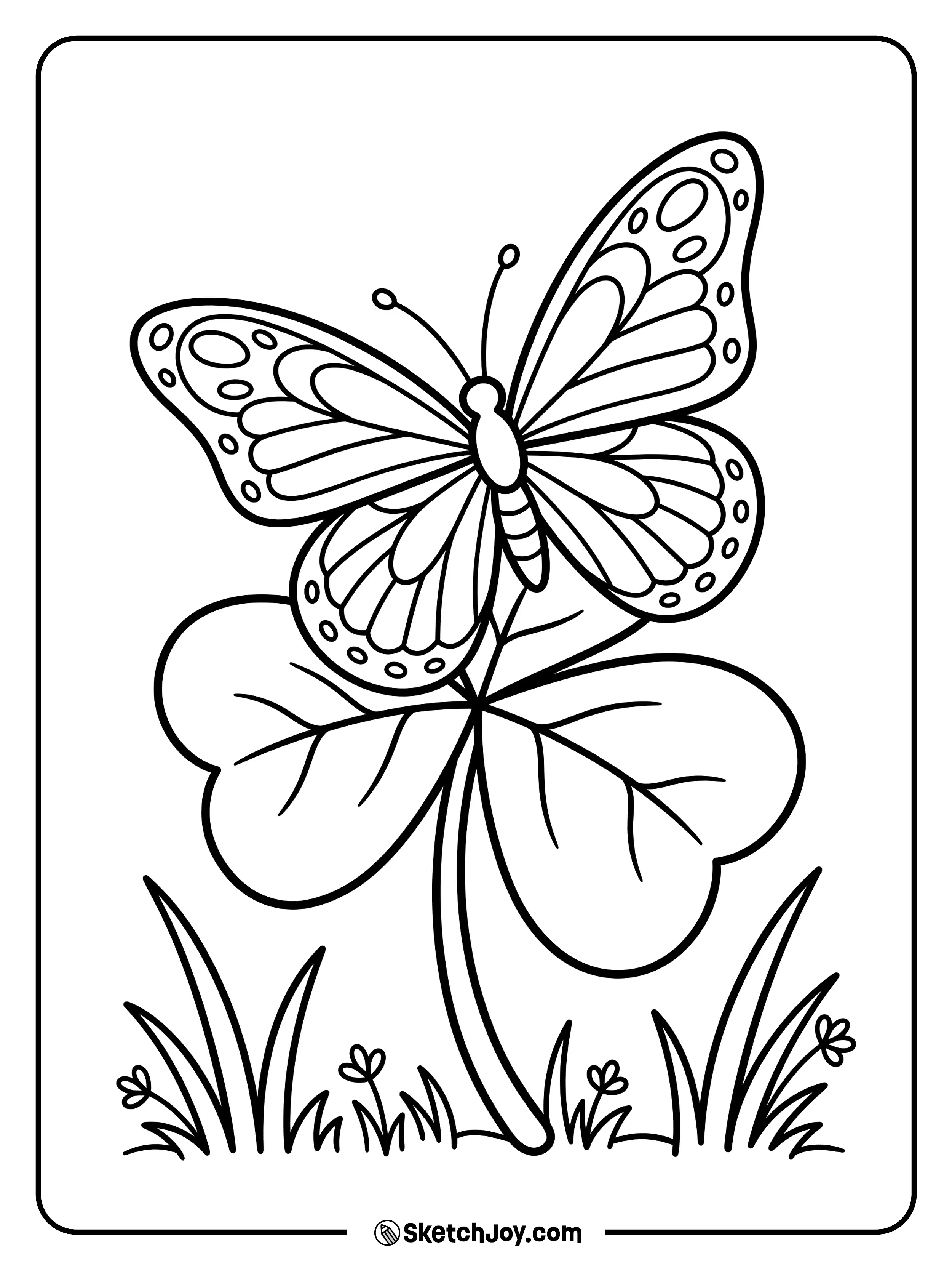 A pretty butterfly landing on a shamrock in a quiet garden.